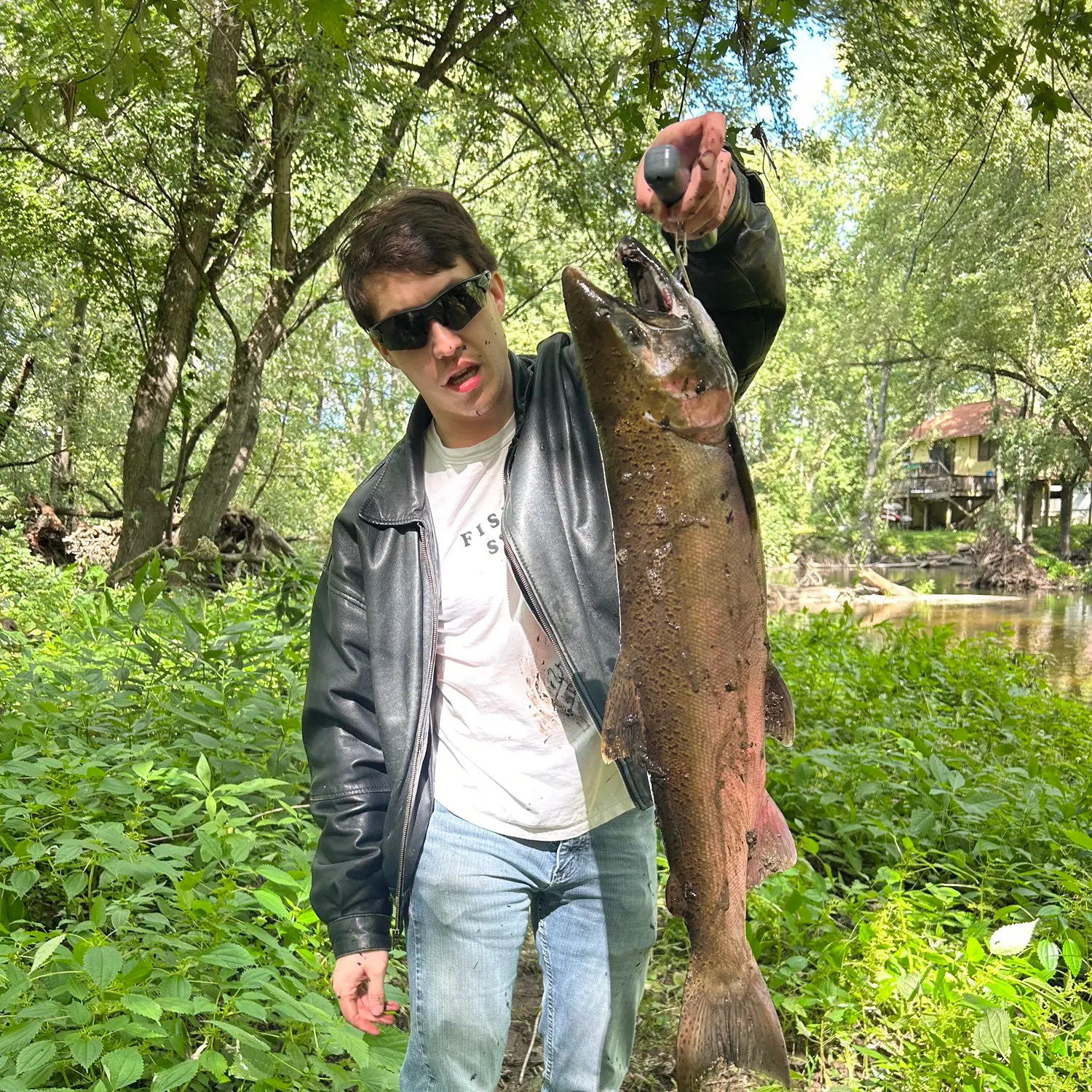The most recent Coho salmon catches on Fishbrain