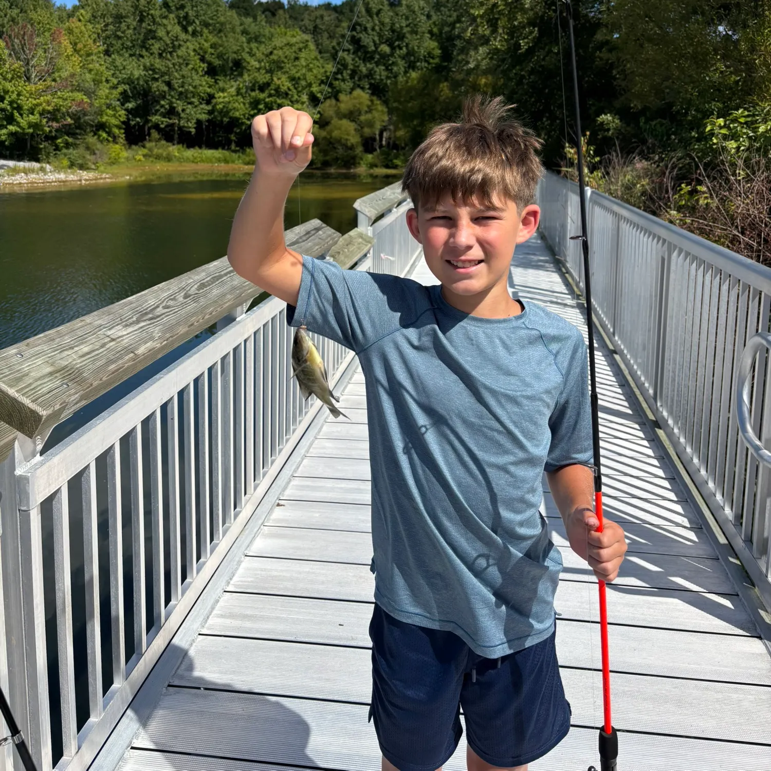 Bluegill caught on Fishbrain