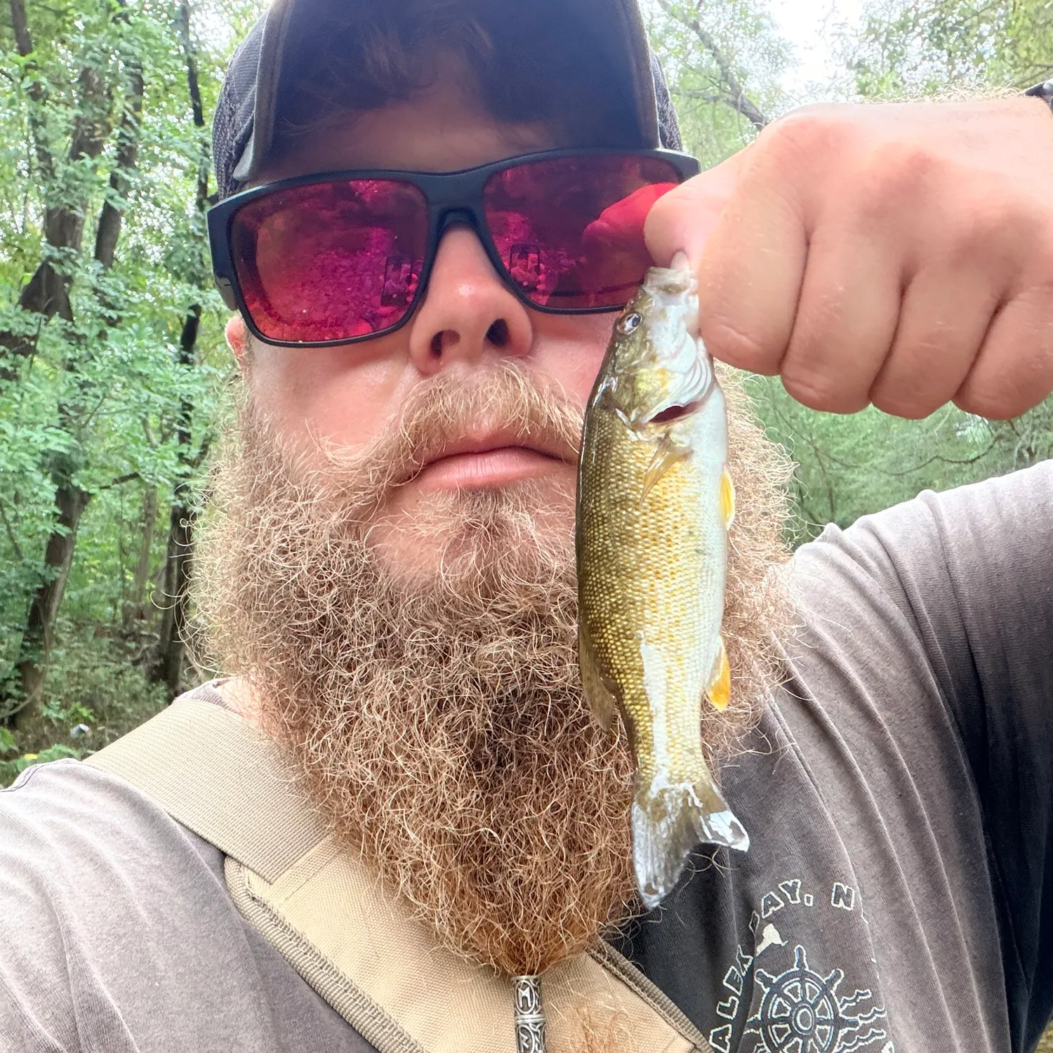 Smallmouth bass caught on Fishbrain
