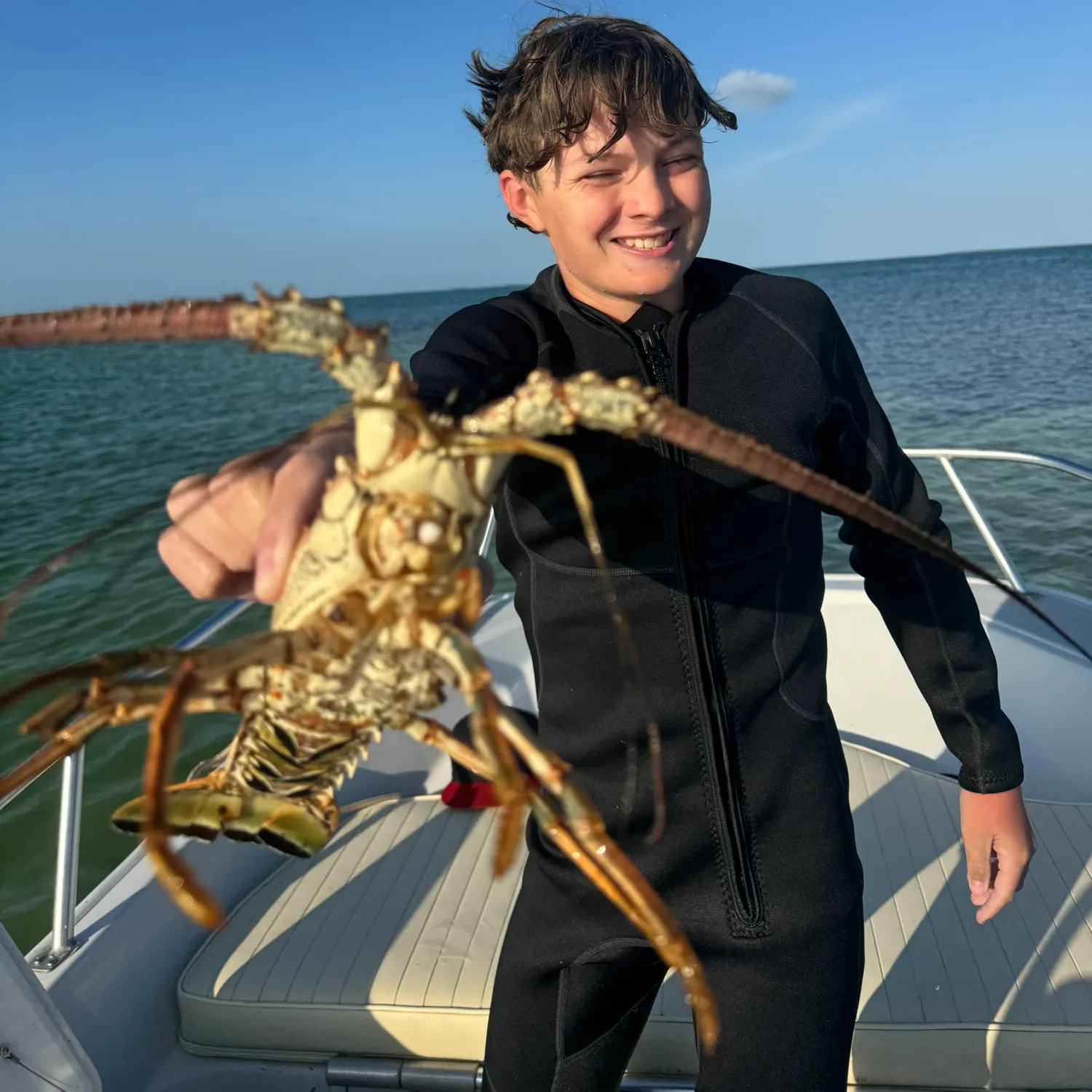 The most recent Caribbean spiny lobster catches on Fishbrain