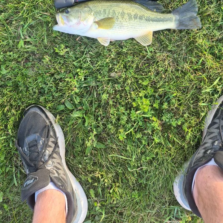 Fish caught on Fishbrain