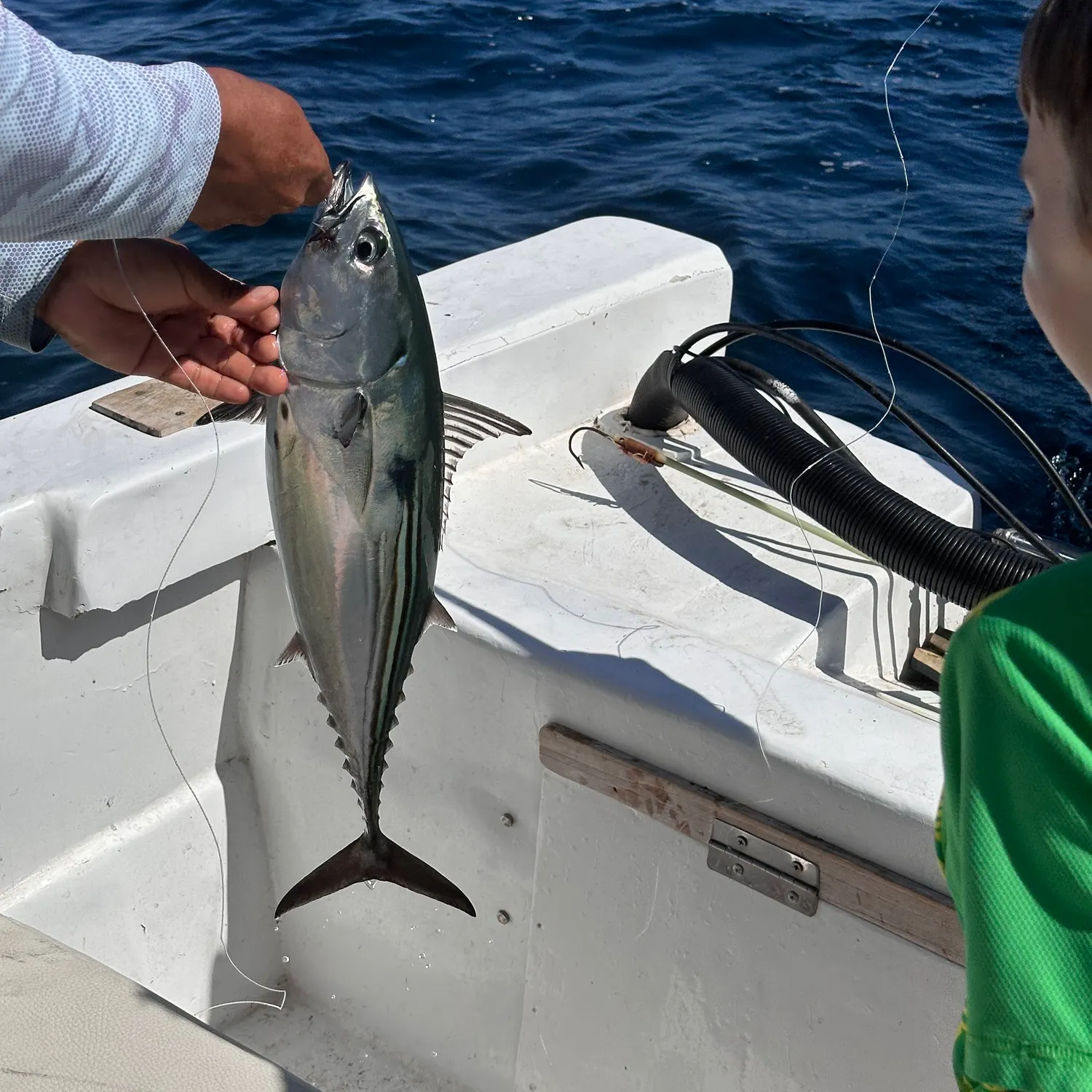 The most recent Skipjack tuna catches on Fishbrain