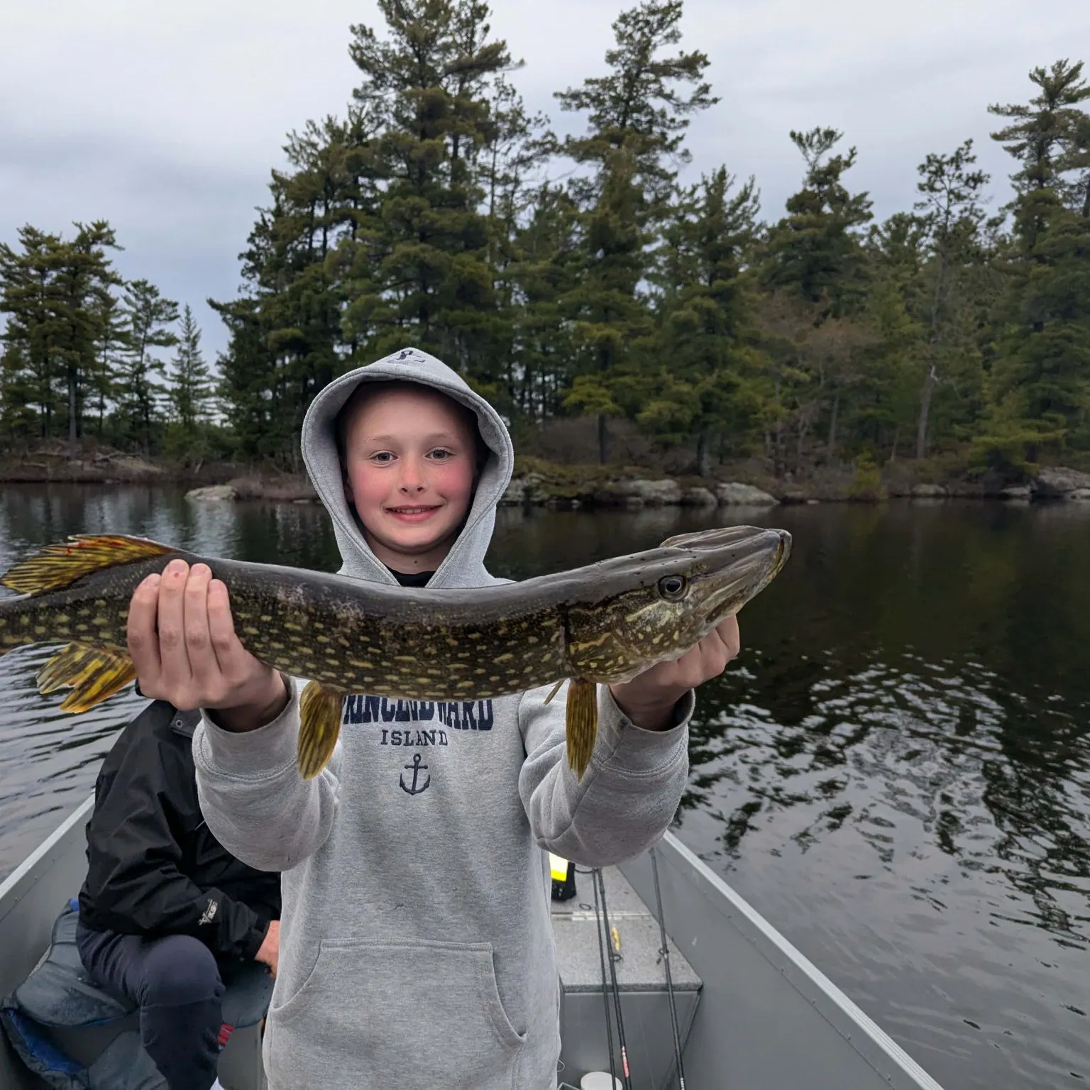 Northern pike caught on Fishbrain