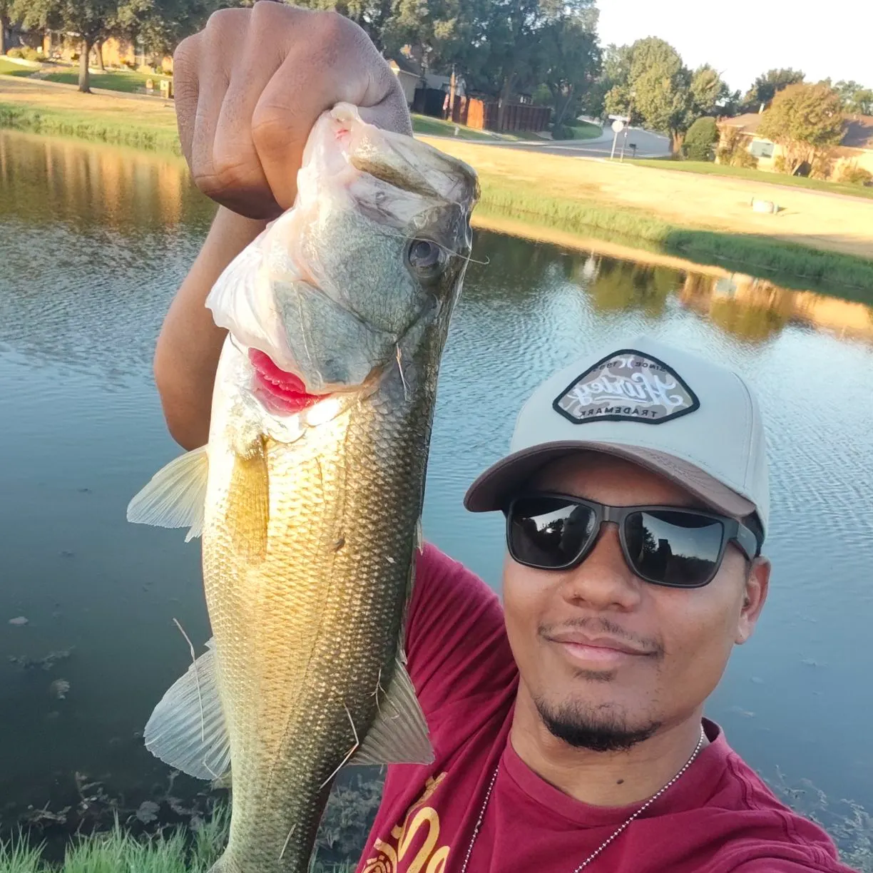 Largemouth bass caught on Fishbrain