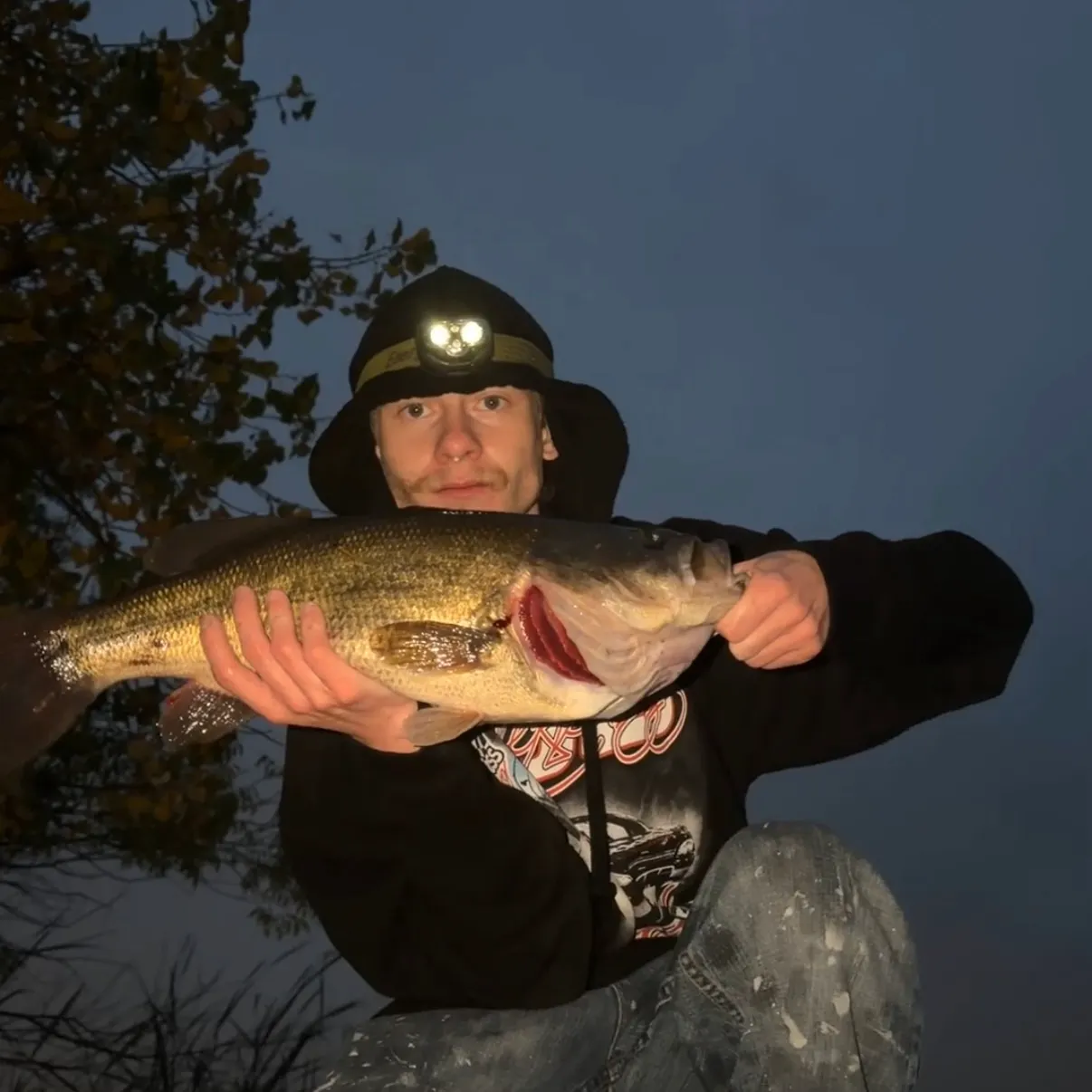 Largemouth bass caught on Fishbrain
