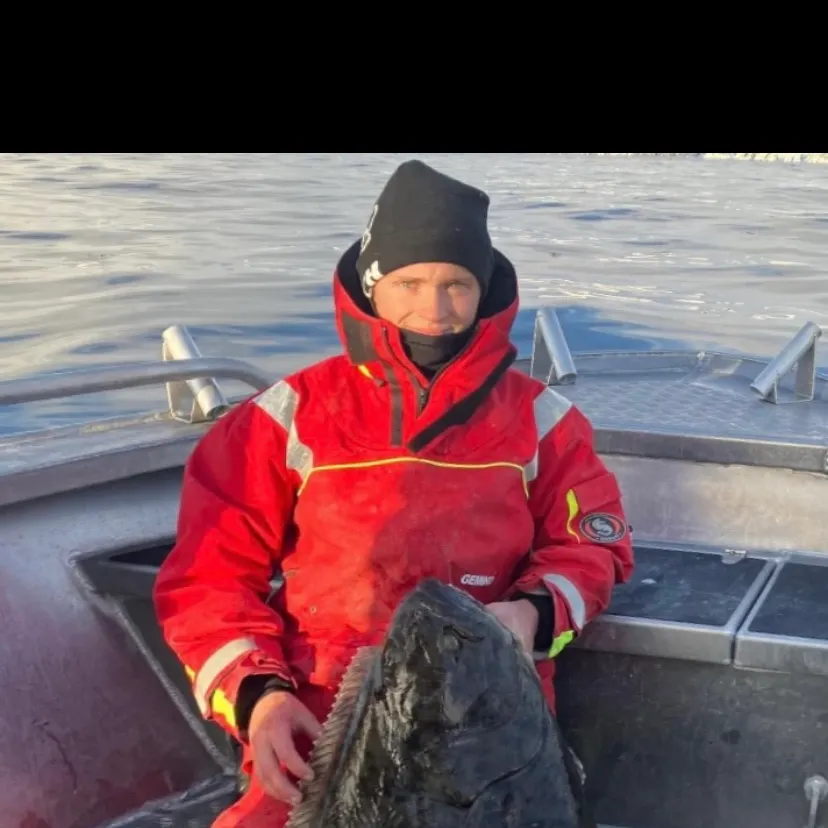 The most recent Pacific halibut catches on Fishbrain
