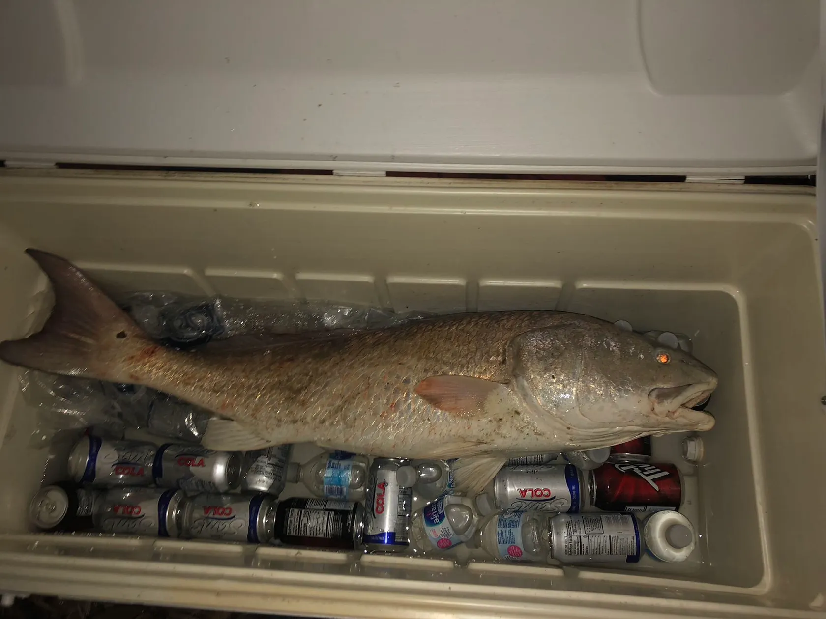 Post image from jmay6811