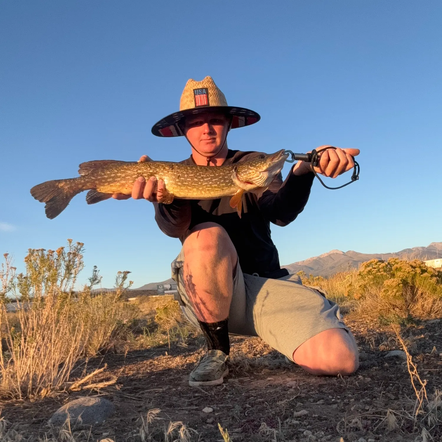 Northern pike caught on Fishbrain