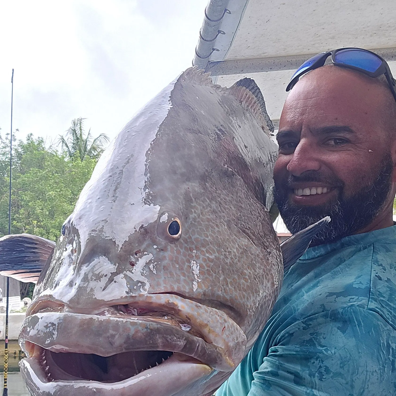 The most recent Black grouper catches on Fishbrain