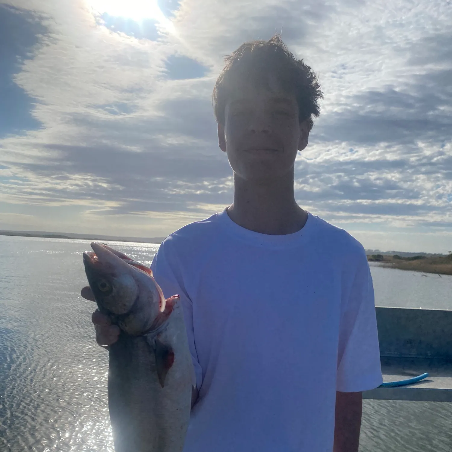 Eastern Australian salmon caught on Fishbrain