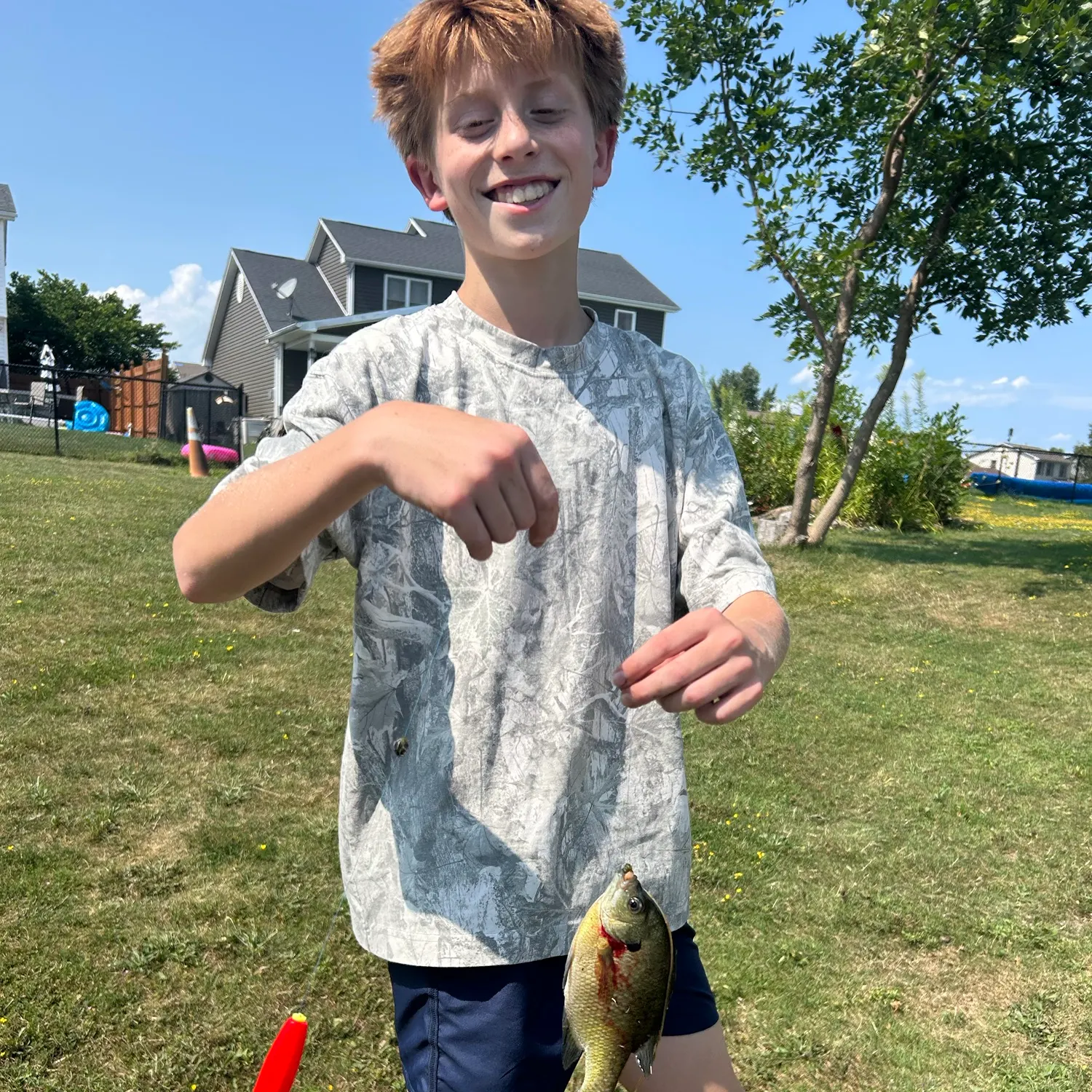Bluegill caught on Fishbrain