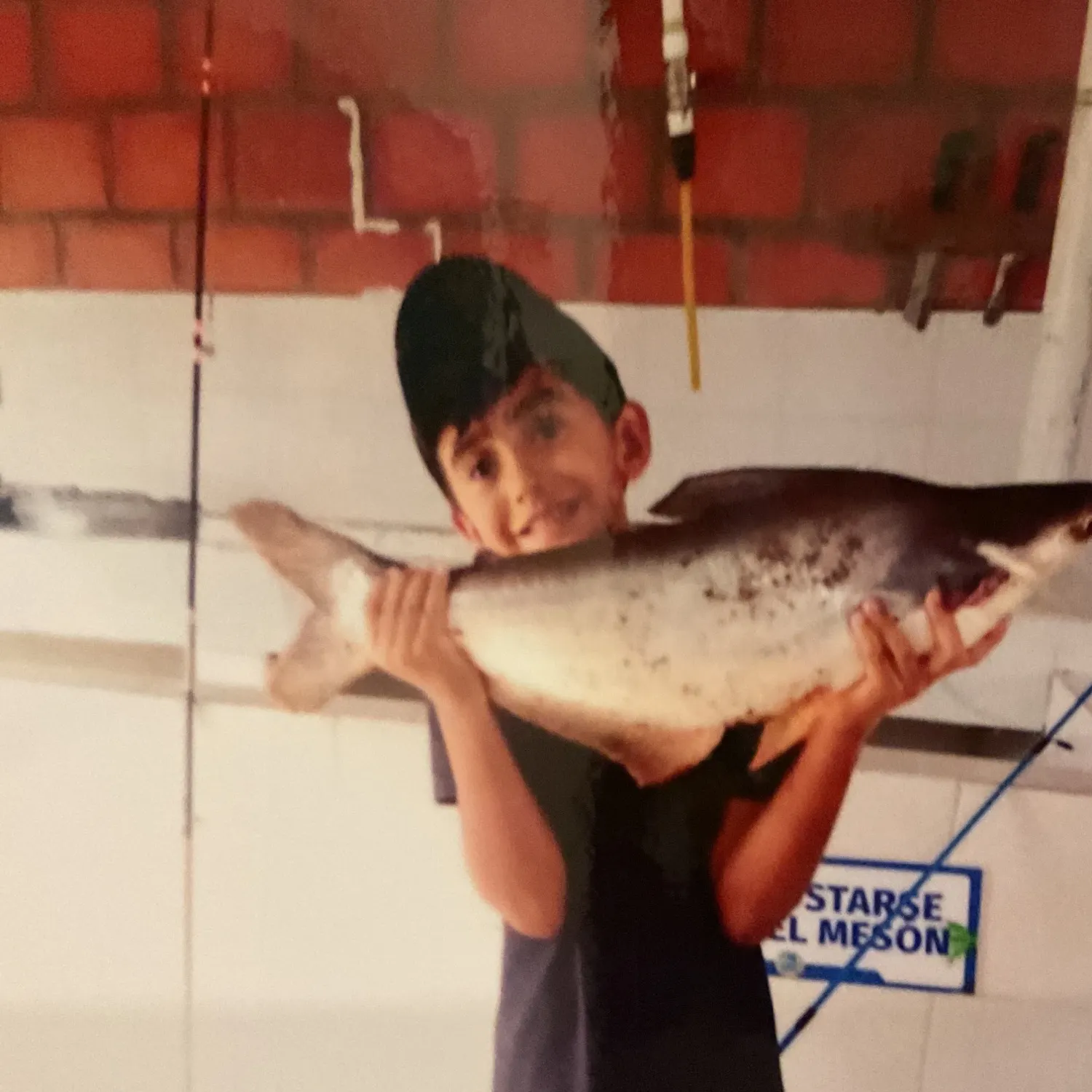 The most recent Bagrid catfish catches on Fishbrain