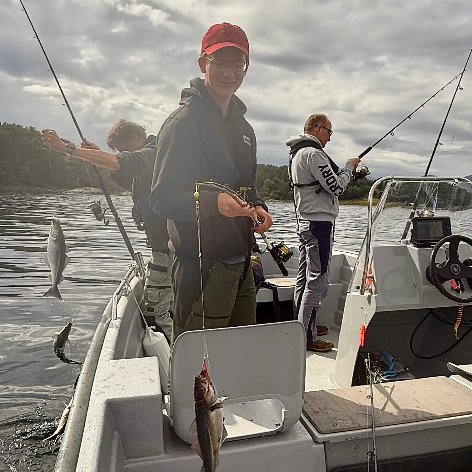 Atlantic pollock caught on Fishbrain