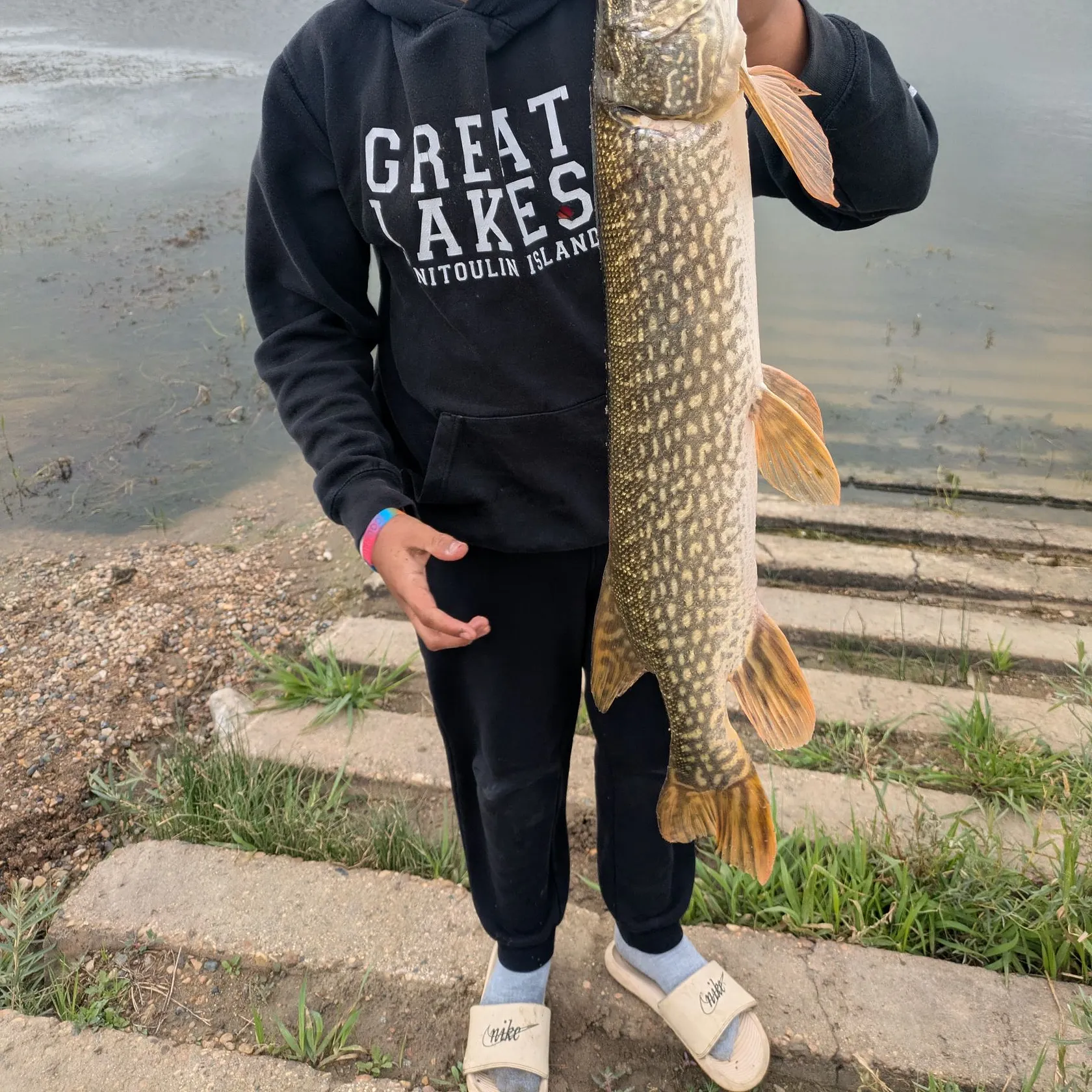 Northern pike caught on Fishbrain