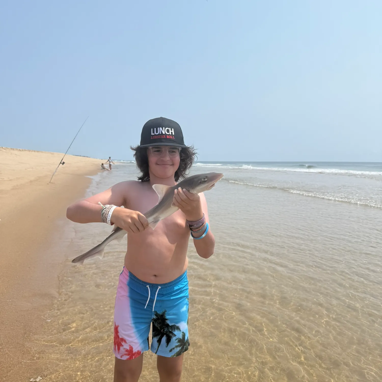 The most recent Dusky smooth-hound catches on Fishbrain