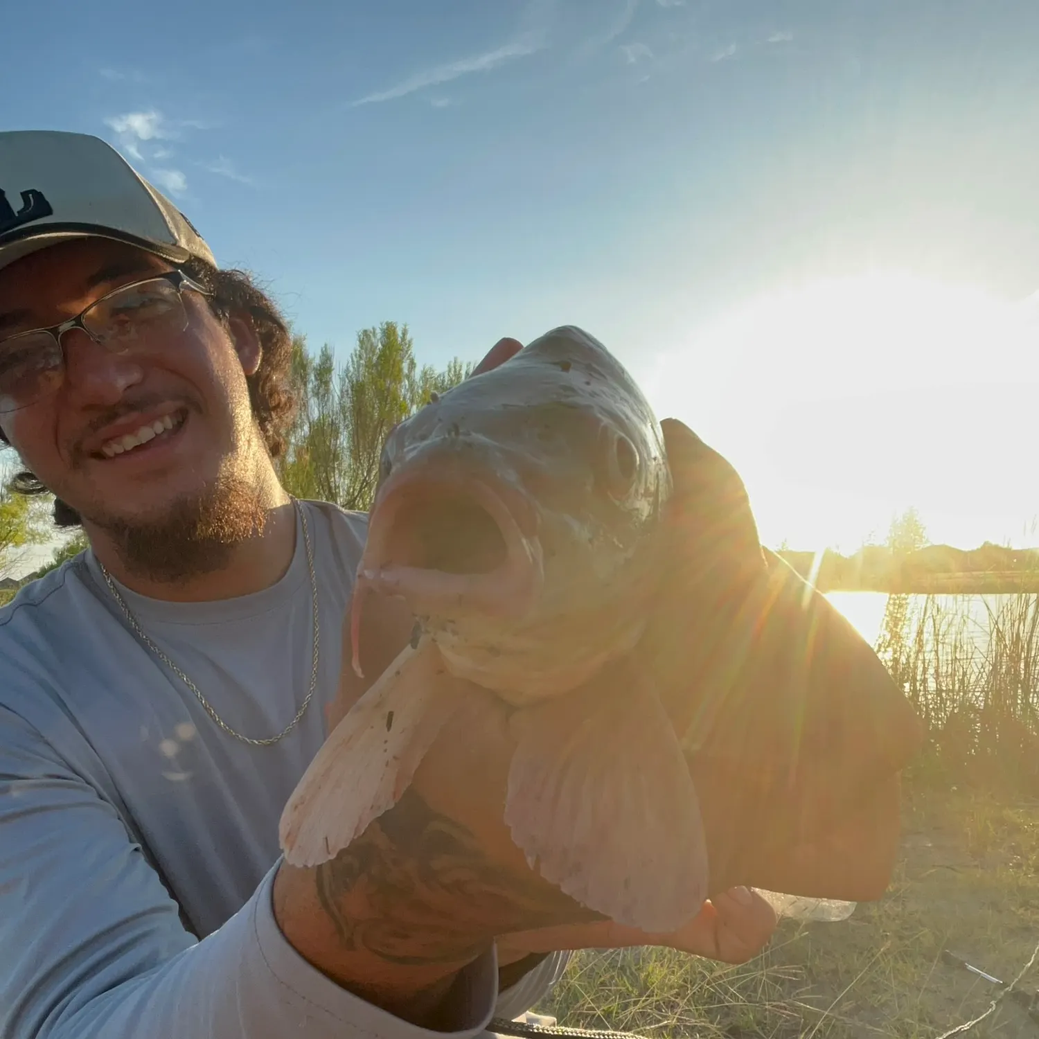 The most recent Koi x common carp catches on Fishbrain