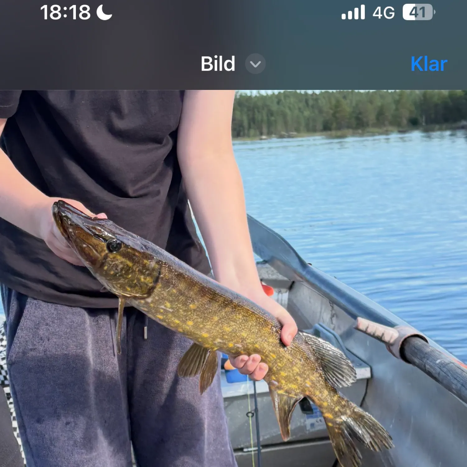 recently logged catches