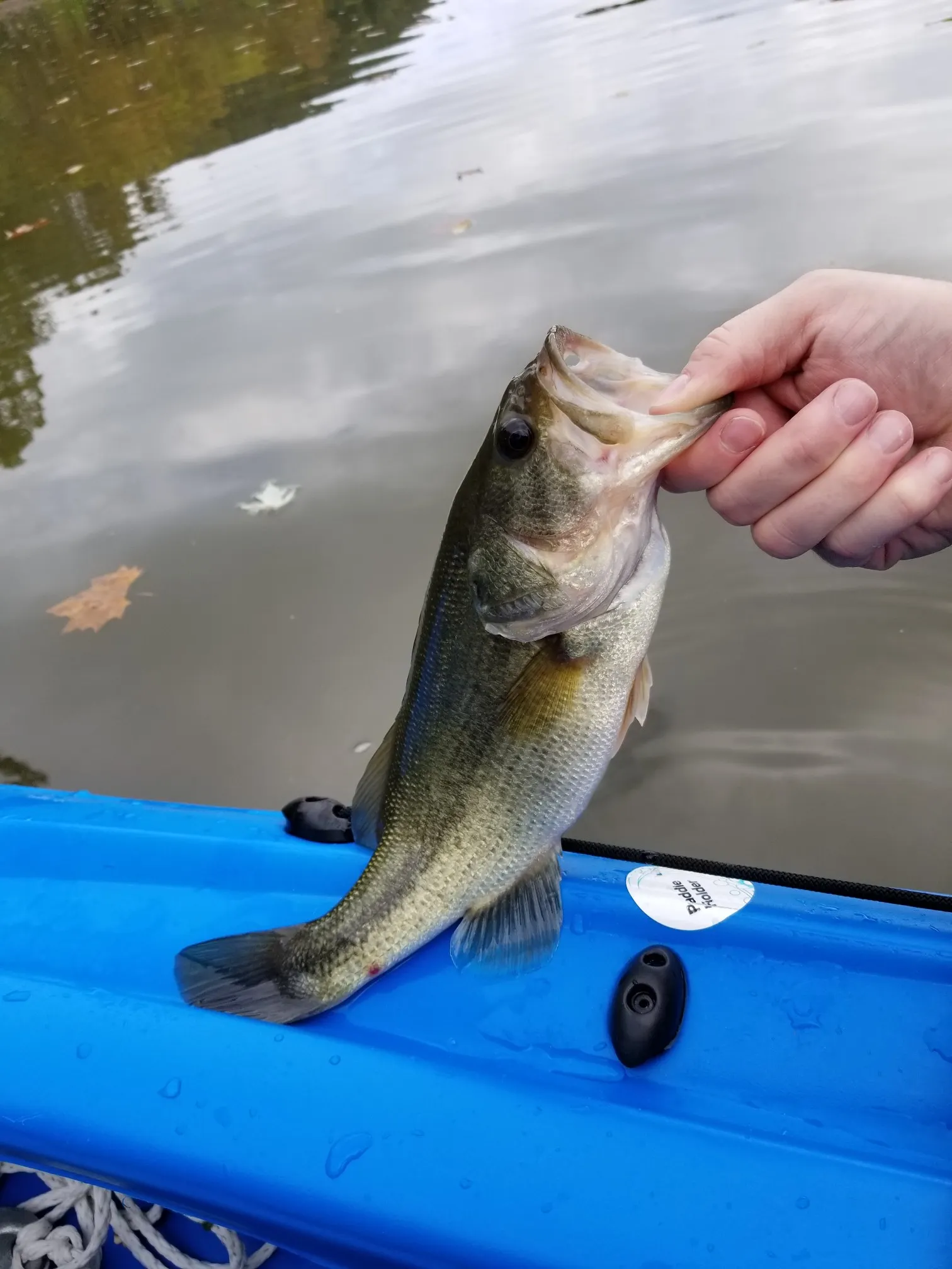 Post image from KayakSoldier