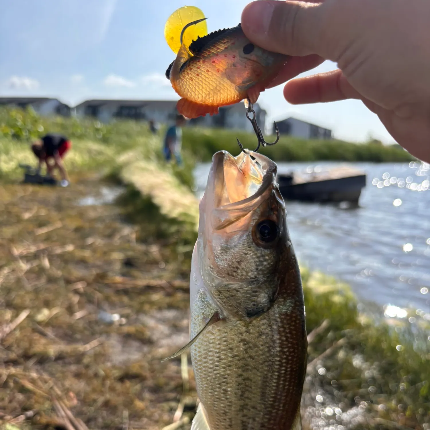 catch