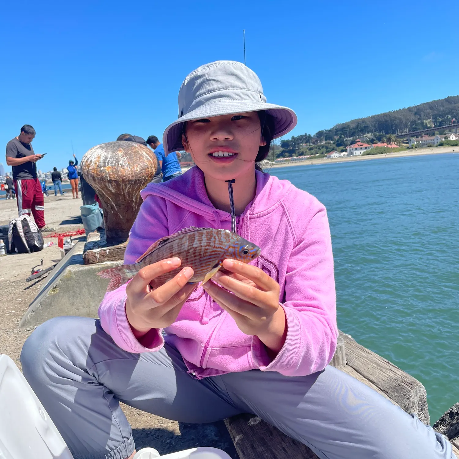 The most recent Rainbow surfperch catches on Fishbrain