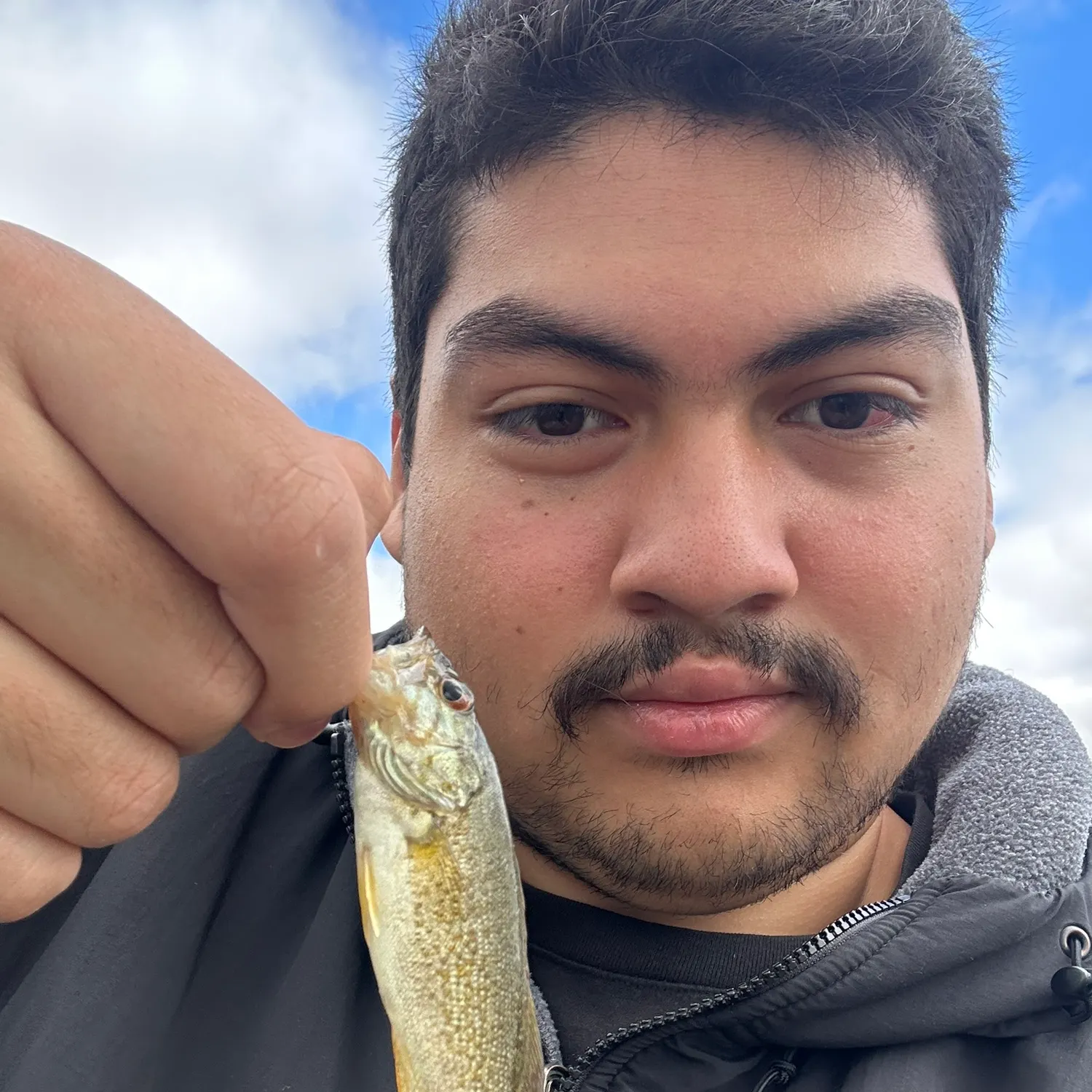 Smallmouth bass caught on Fishbrain