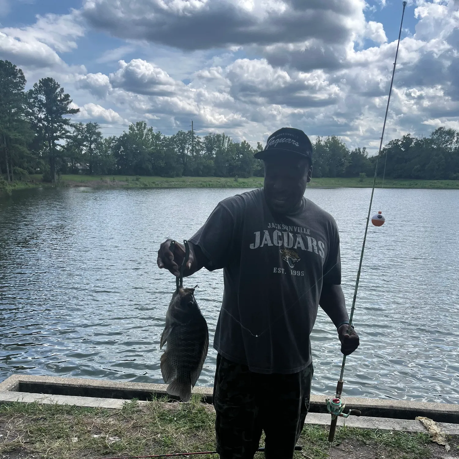 The most recent Longfin tilapia catches on Fishbrain