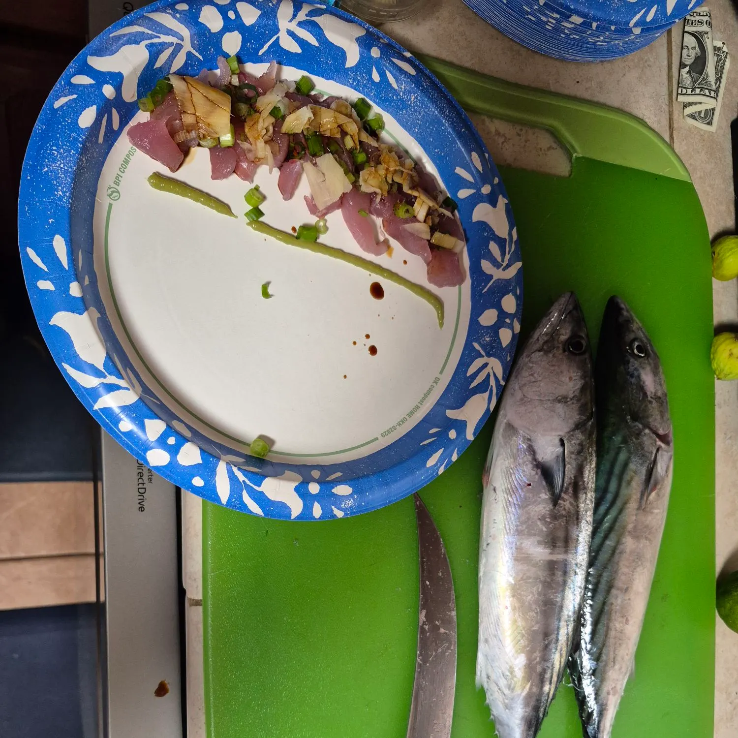 The most recent Pacific bonito catches on Fishbrain