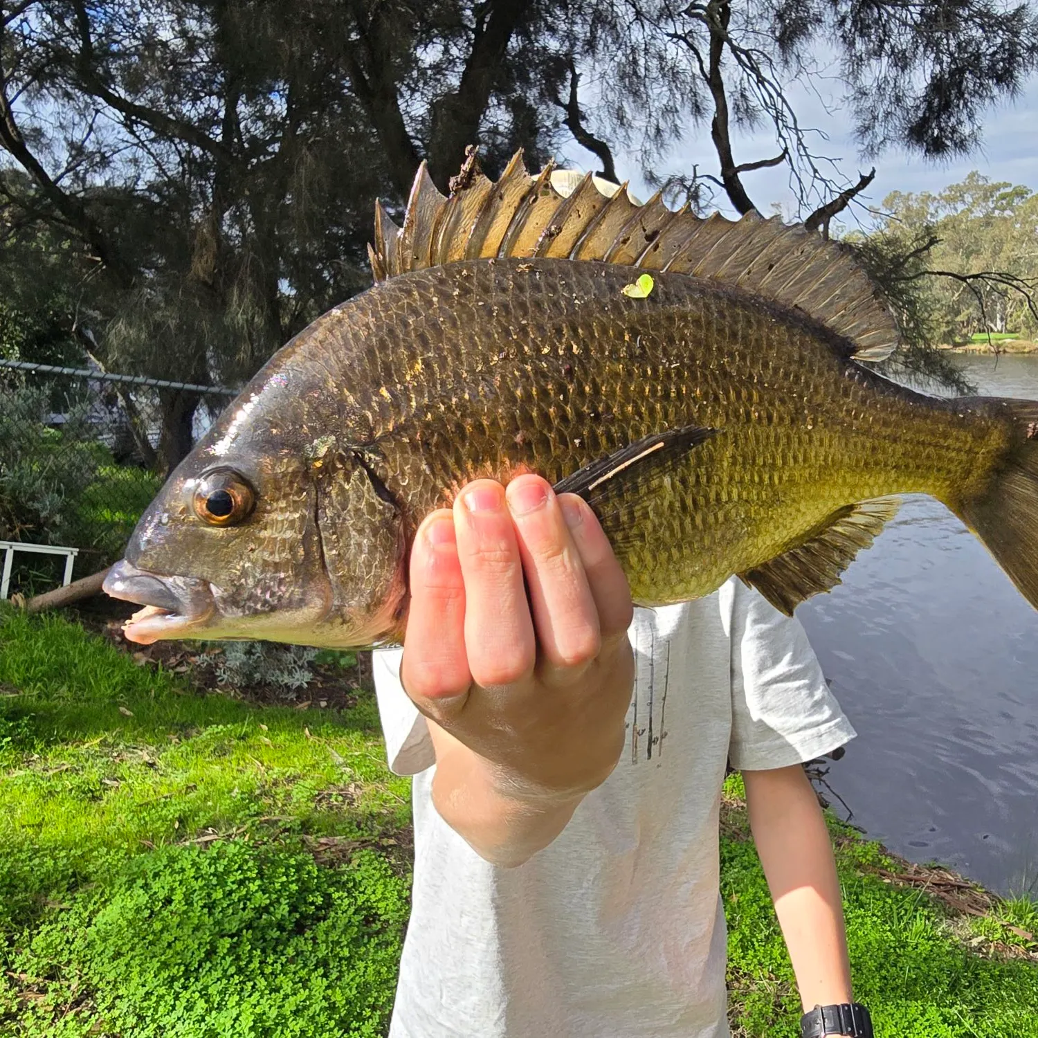 catch