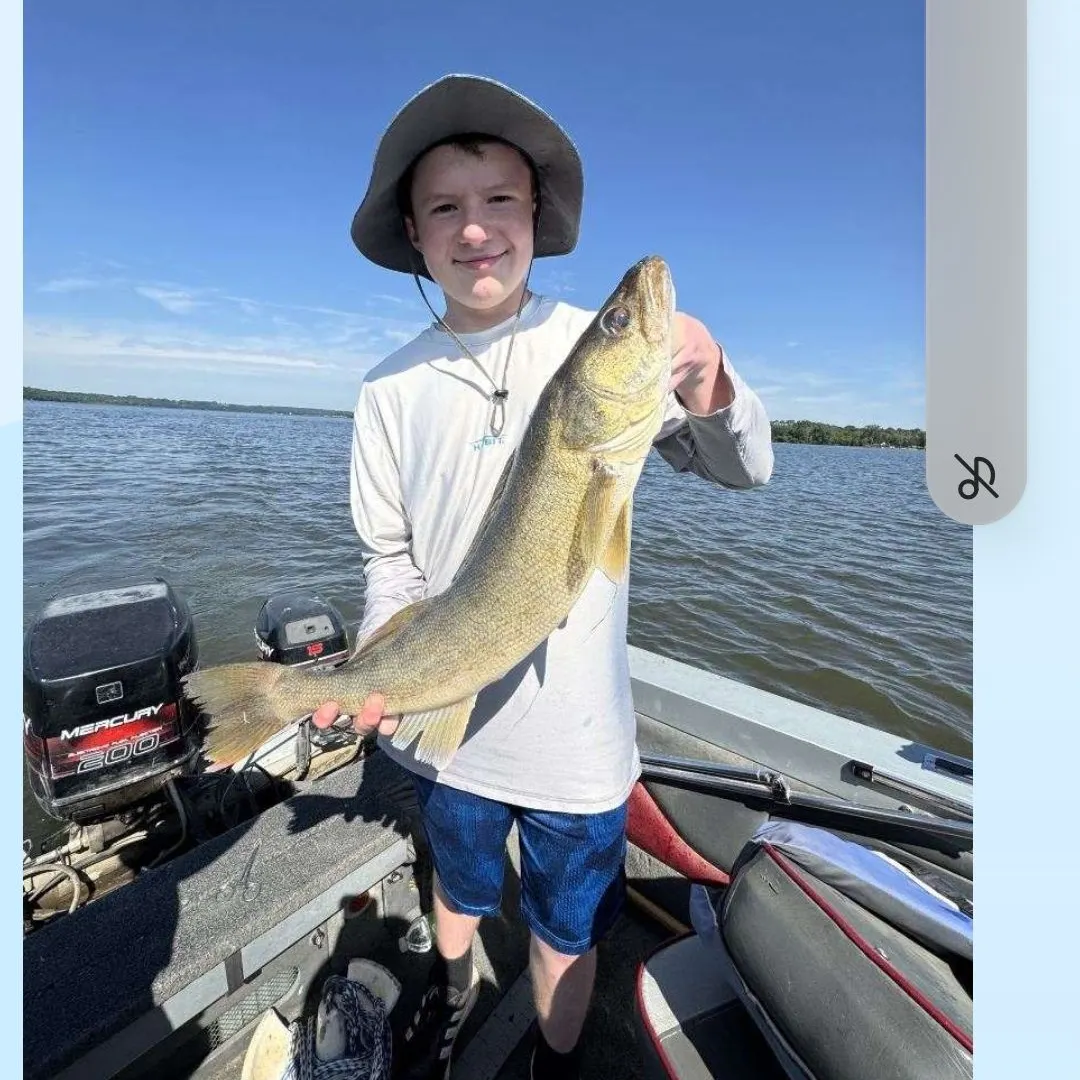 Walleye caught on Fishbrain