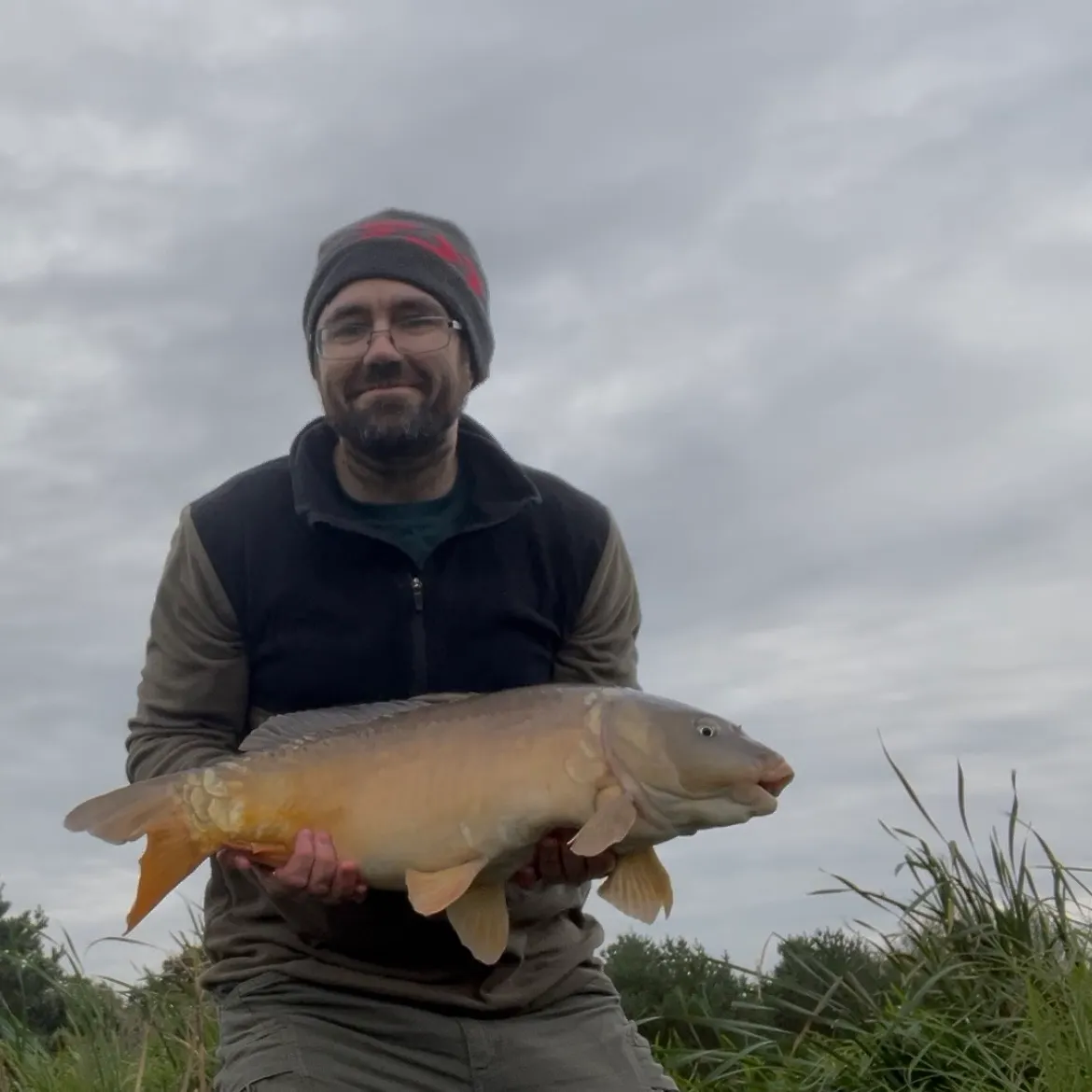 Mirror carp caught on Fishbrain
