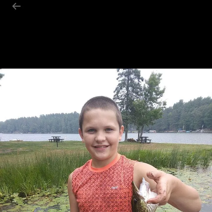 Northern pike caught on Fishbrain