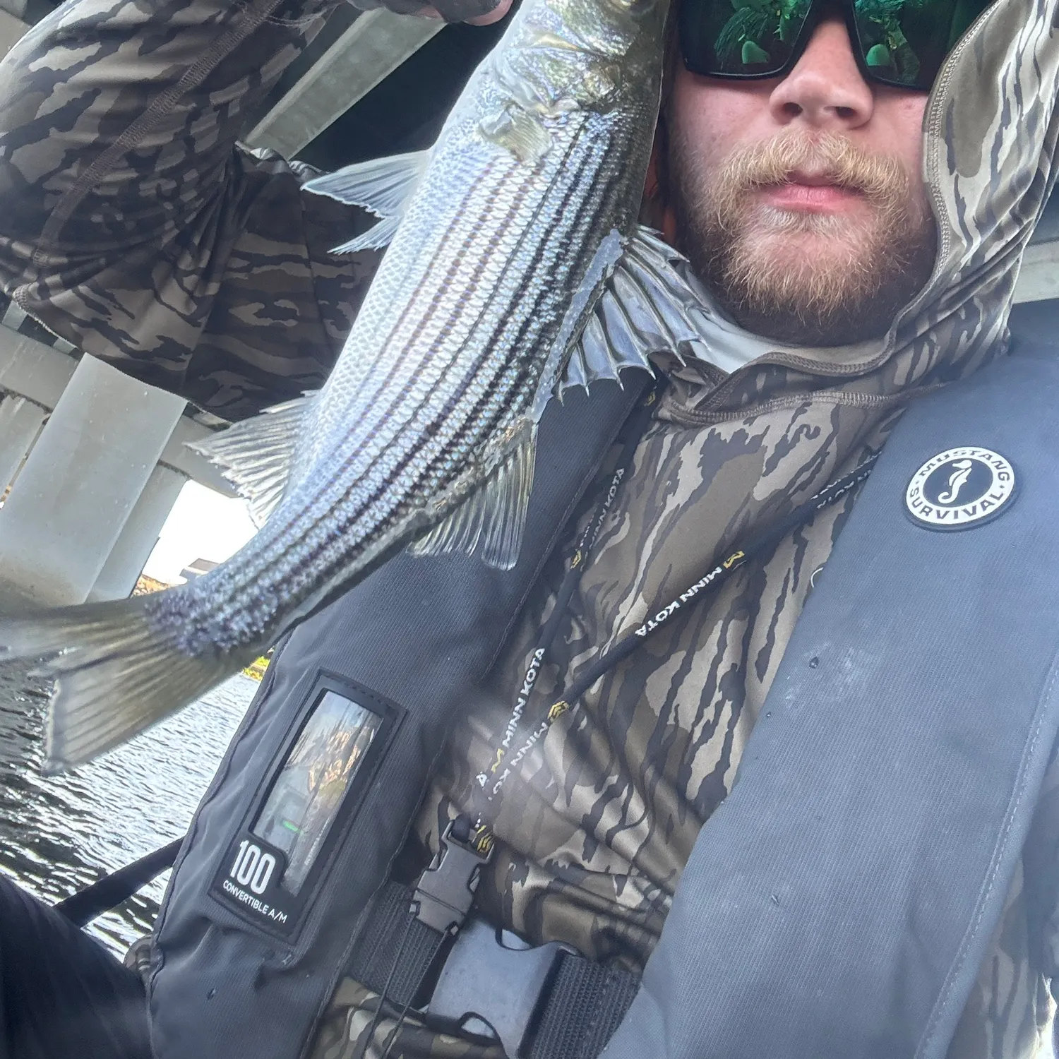 Striped bass caught on Fishbrain