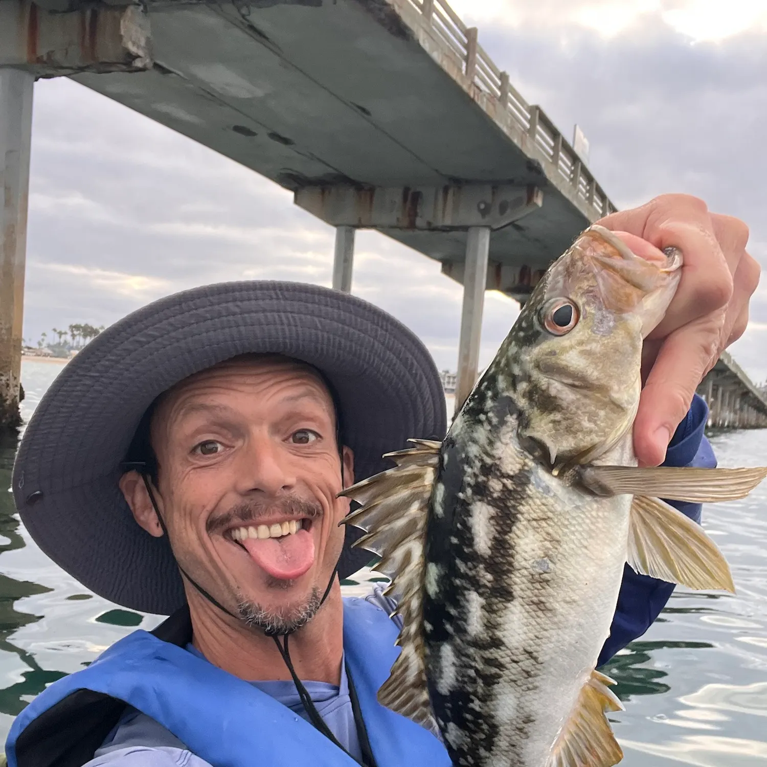 Kelp bass caught on Fishbrain