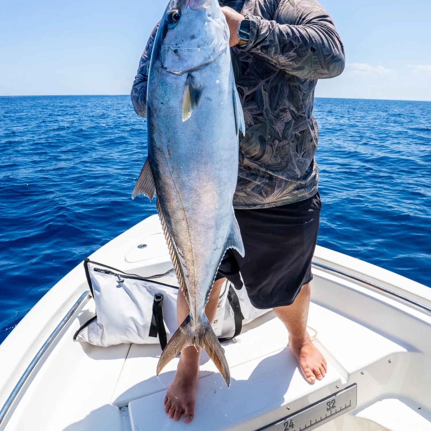 The most recent Greater amberjack catches on Fishbrain