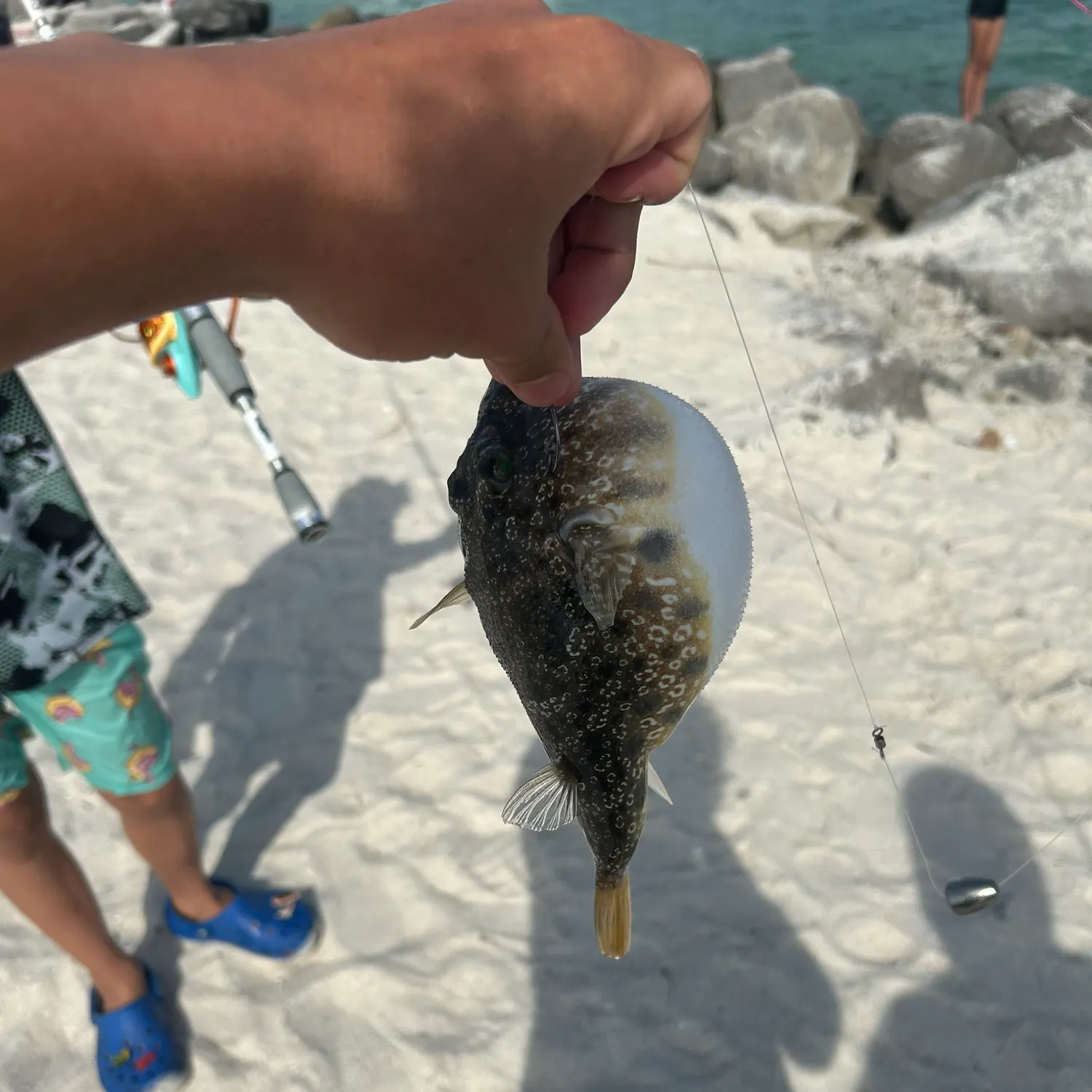 catch