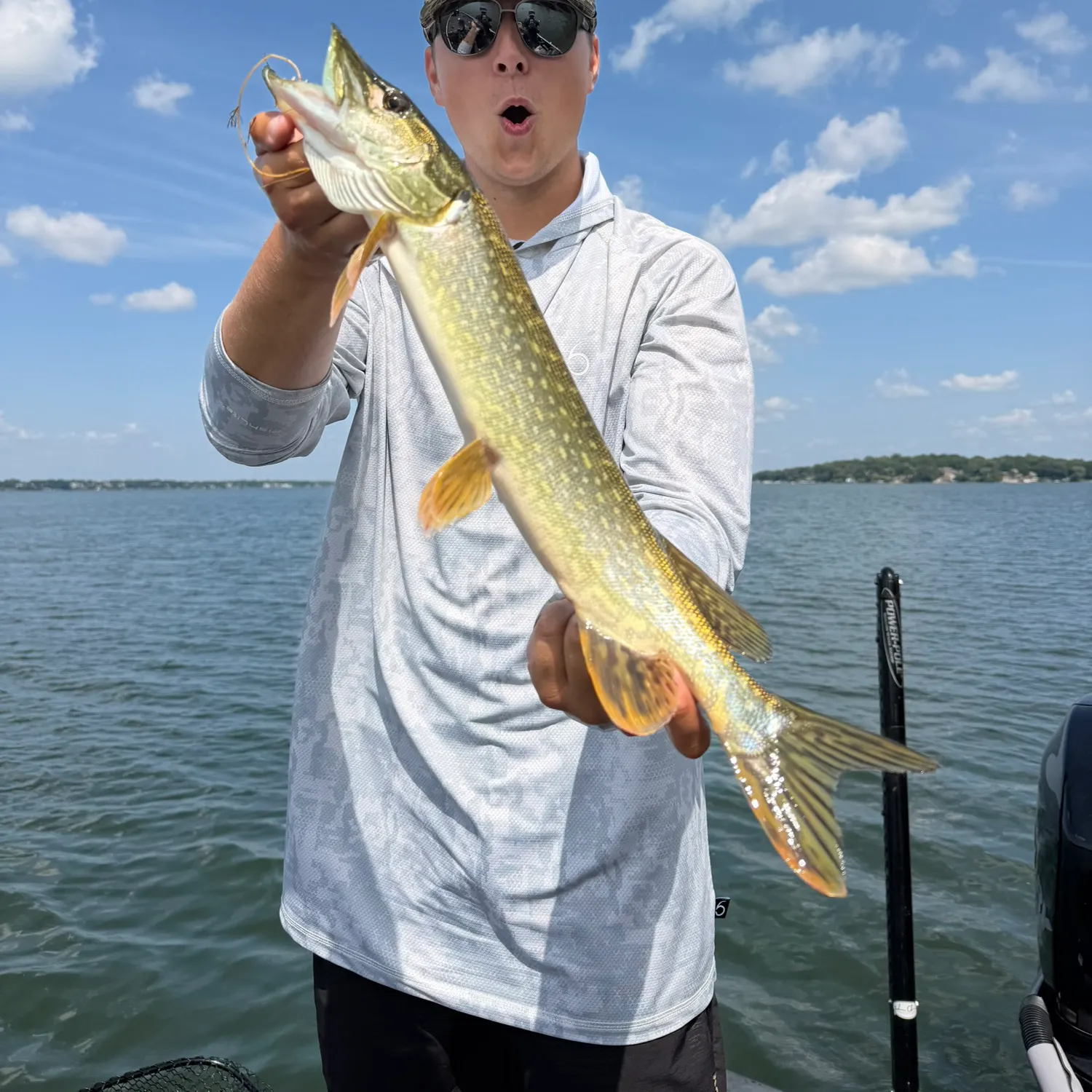 Northern pike caught on Fishbrain