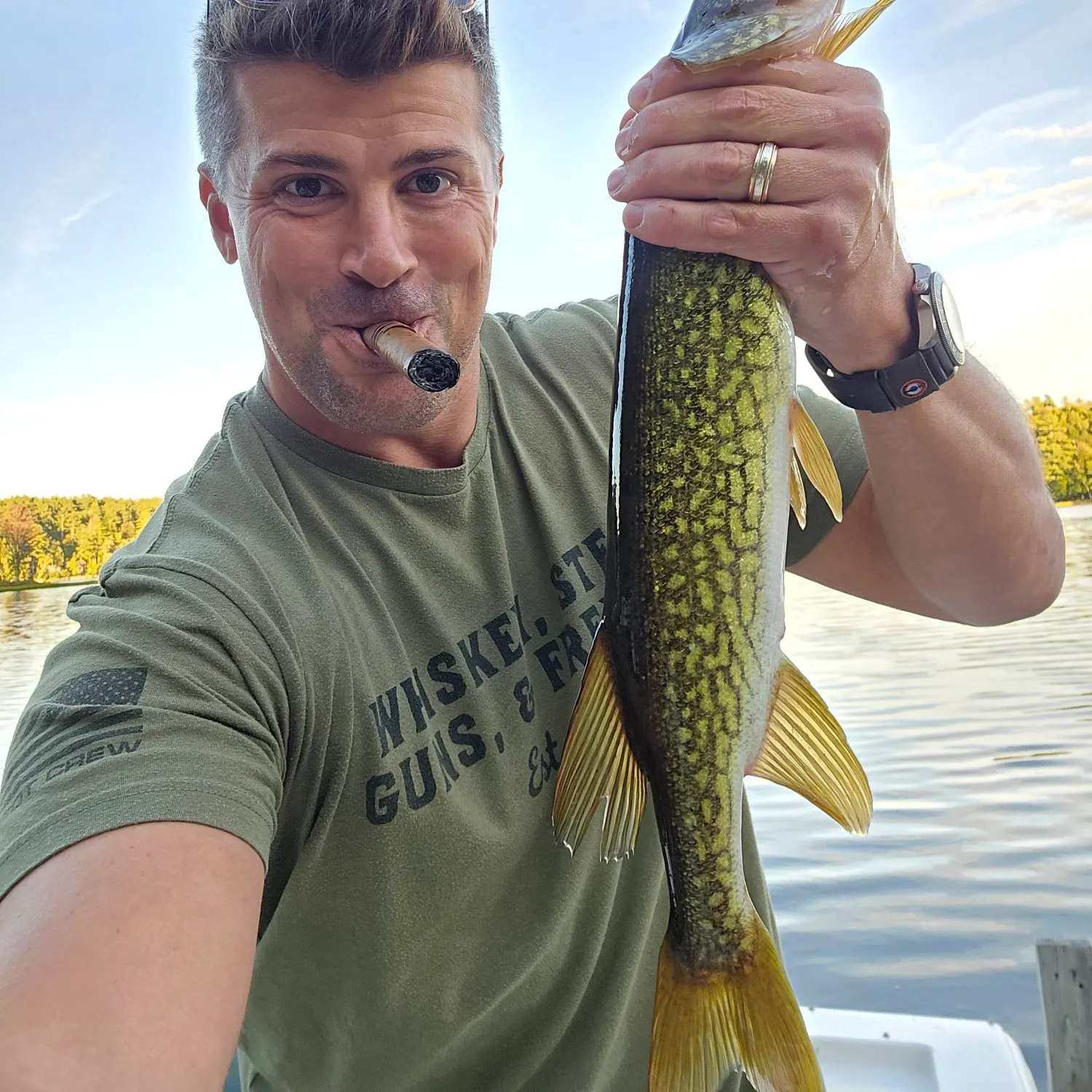 Chain pickerel caught on Fishbrain