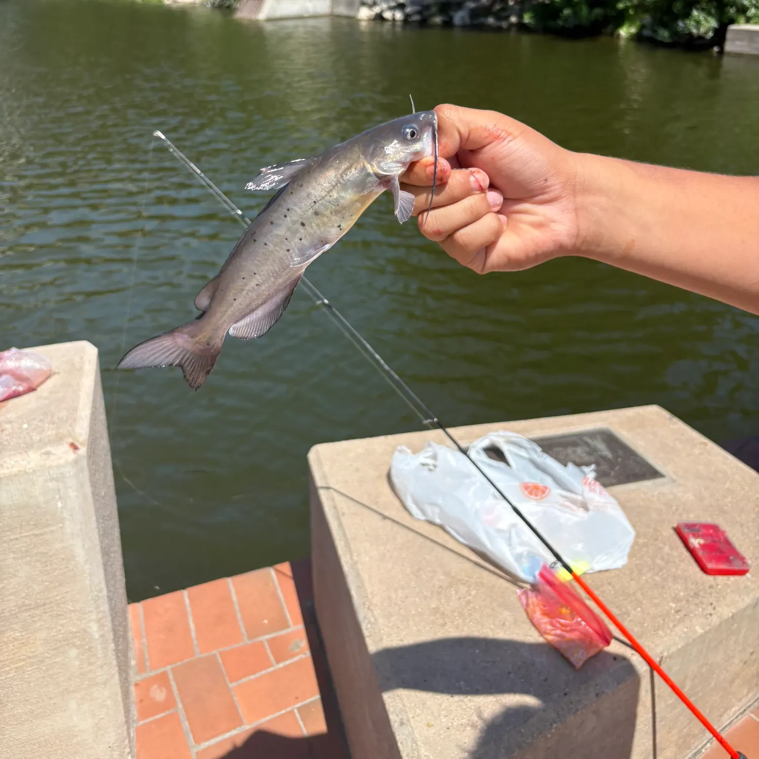 catch