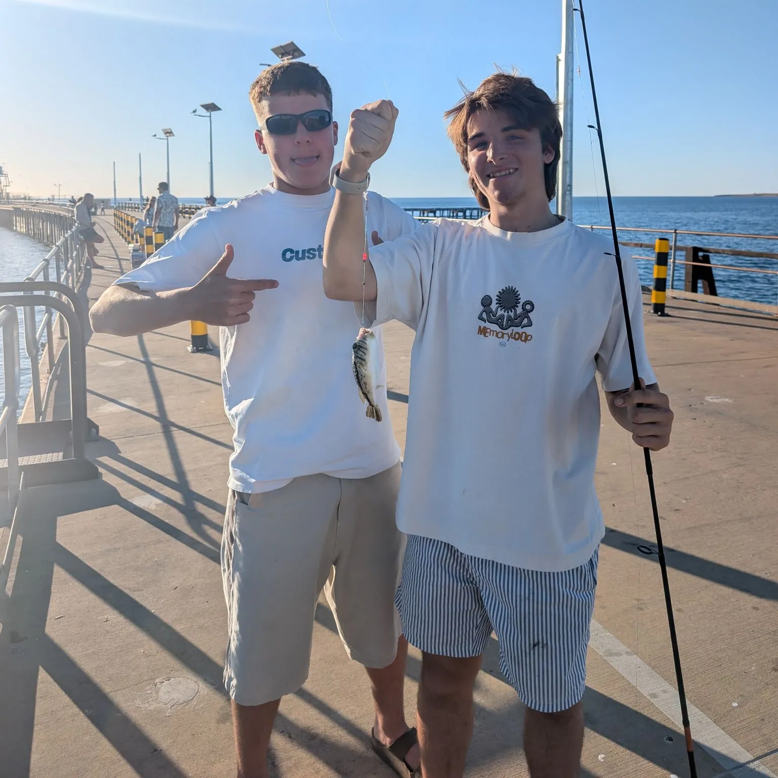 The most recent Evileye pufferfish catches on Fishbrain