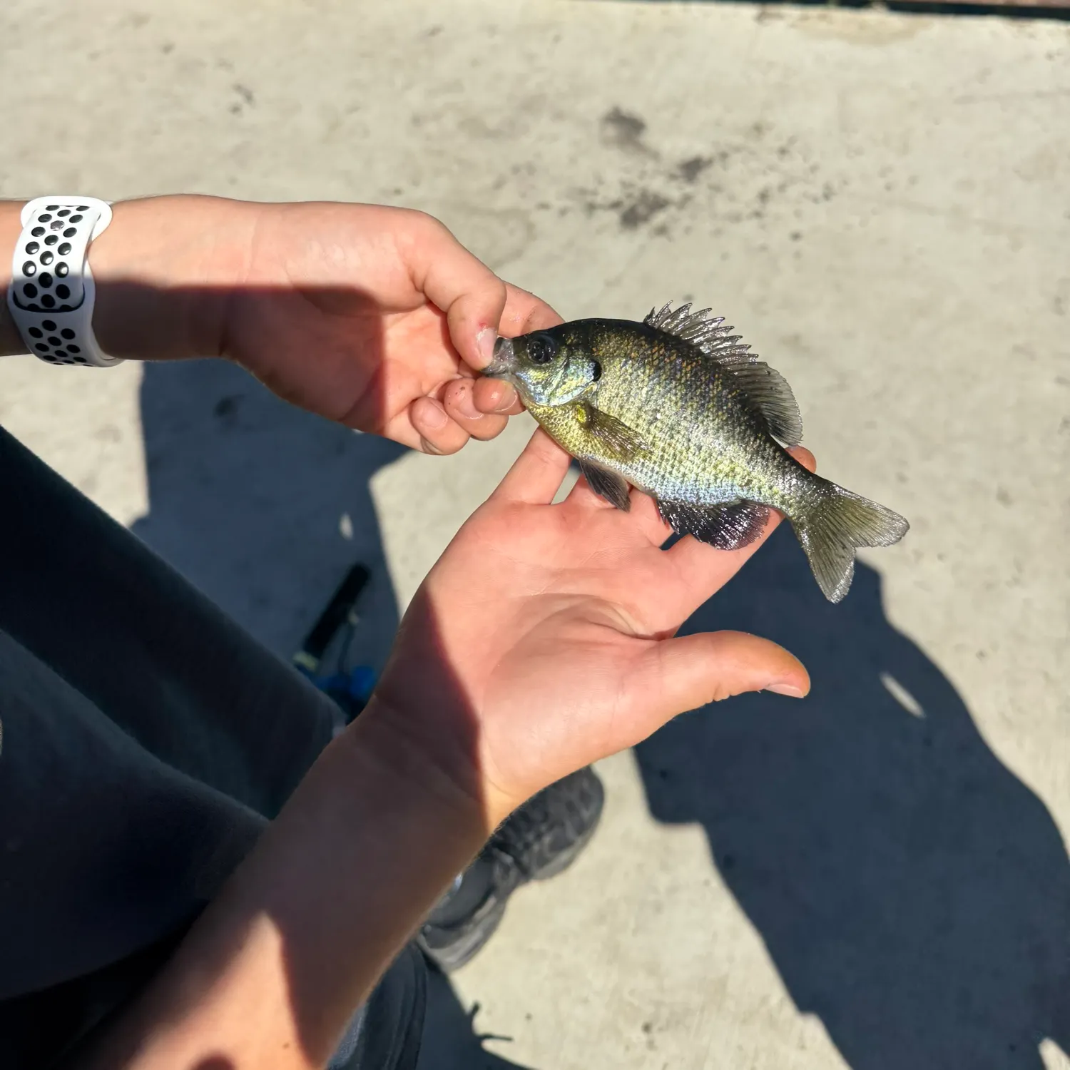 catch