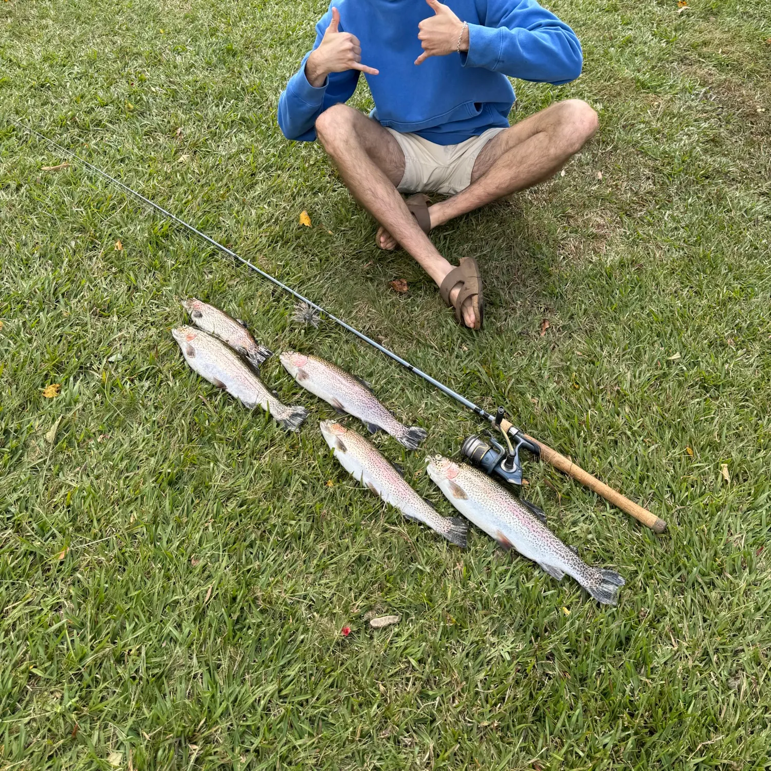 Rainbow trout caught on Fishbrain