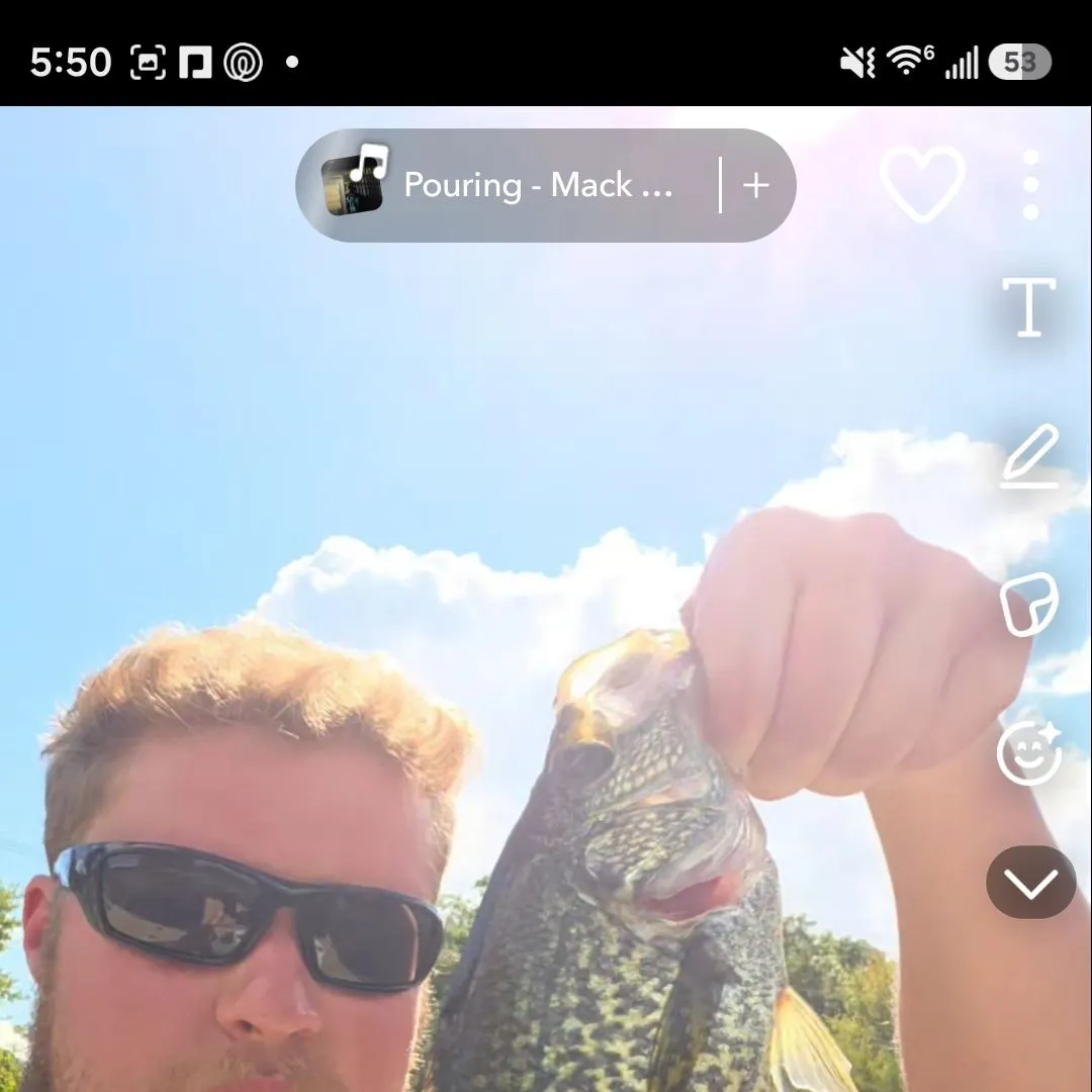 Black crappie caught on Fishbrain