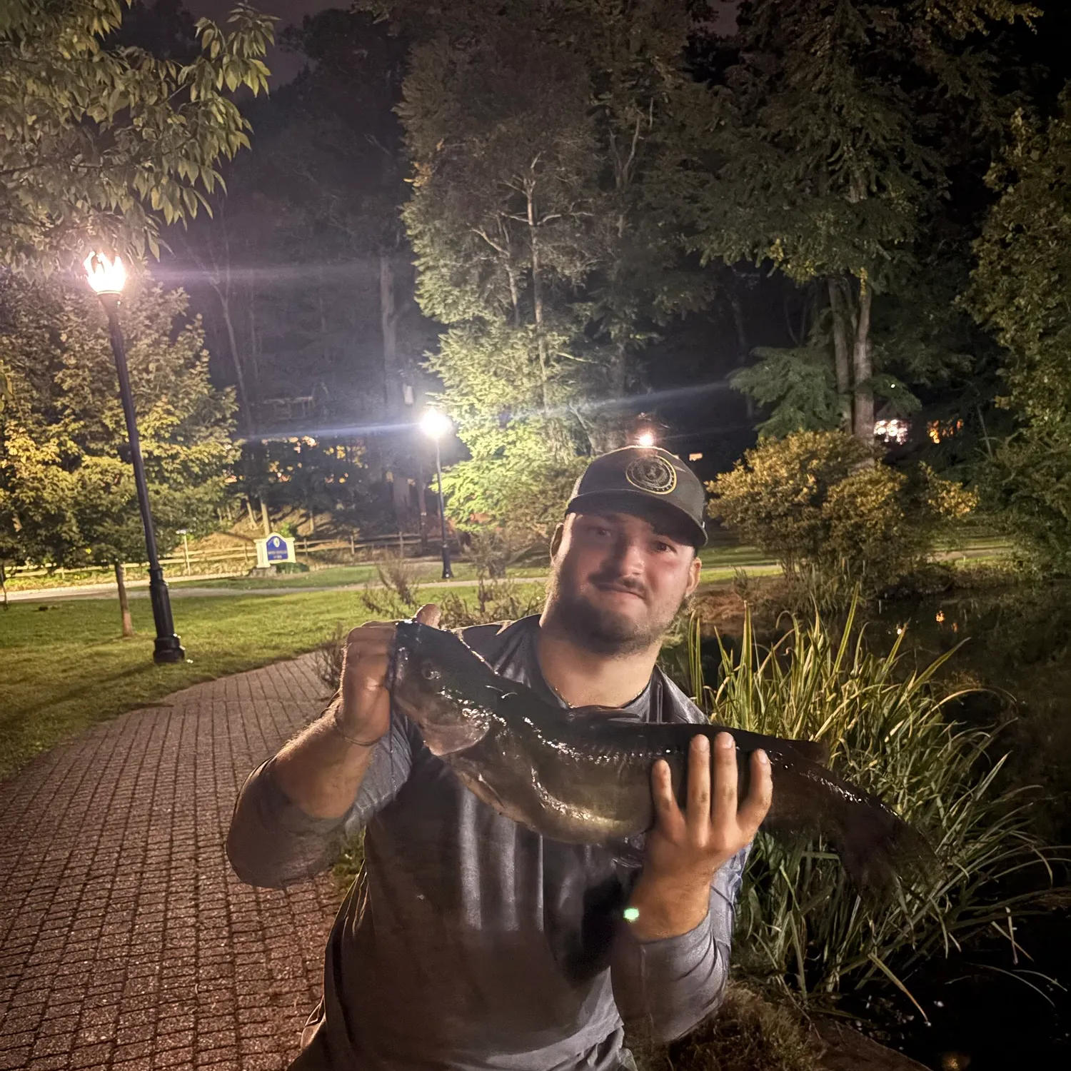 Channel catfish caught on Fishbrain