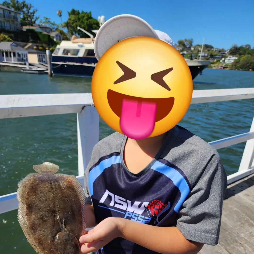 The most recent Stone Flounder catches on Fishbrain