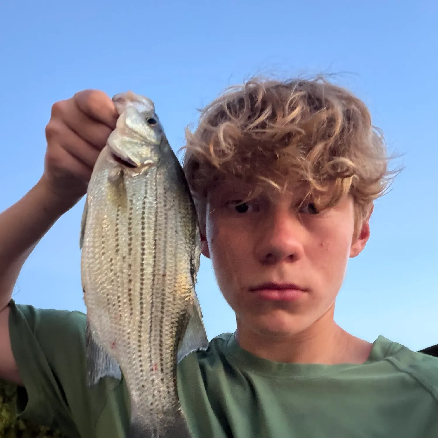 Wiper caught on Fishbrain