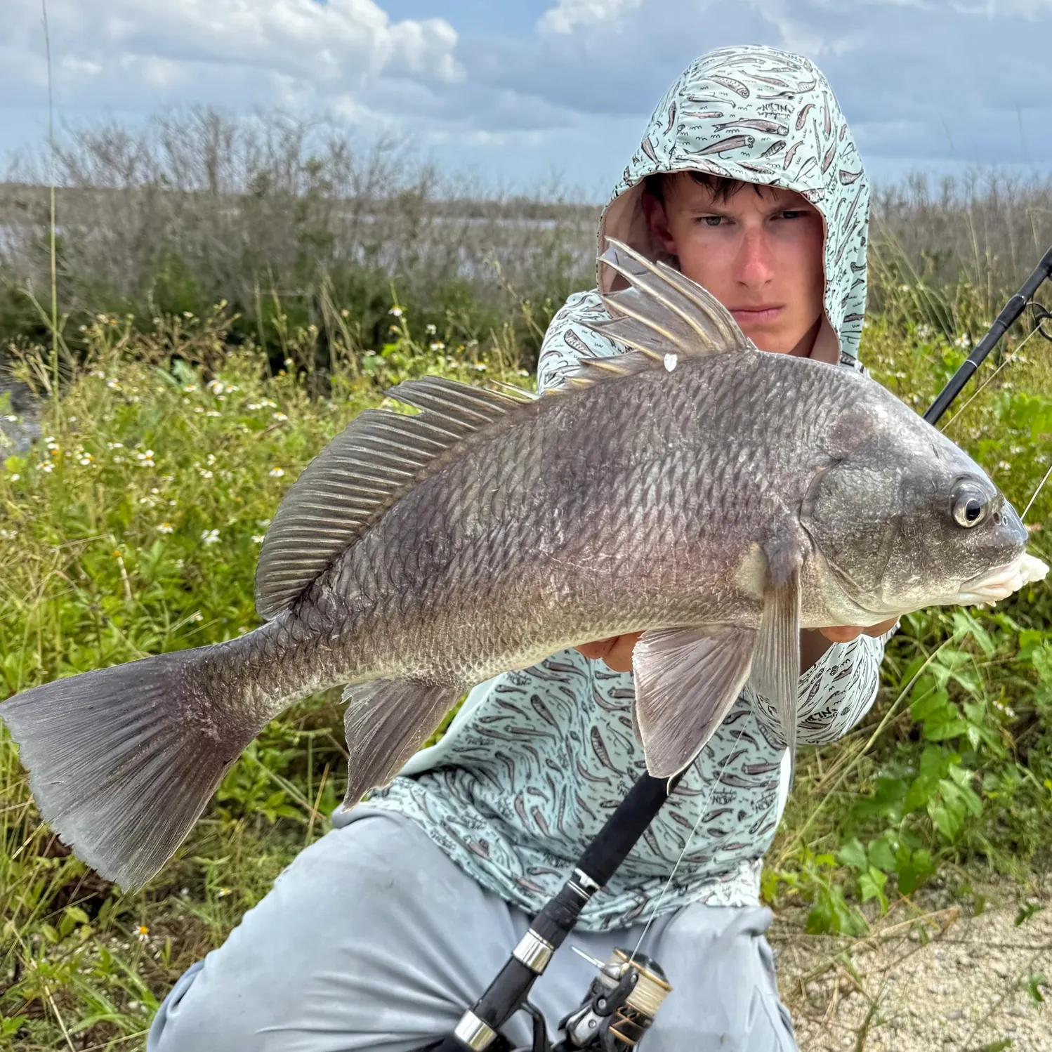 Black drum caught on Fishbrain