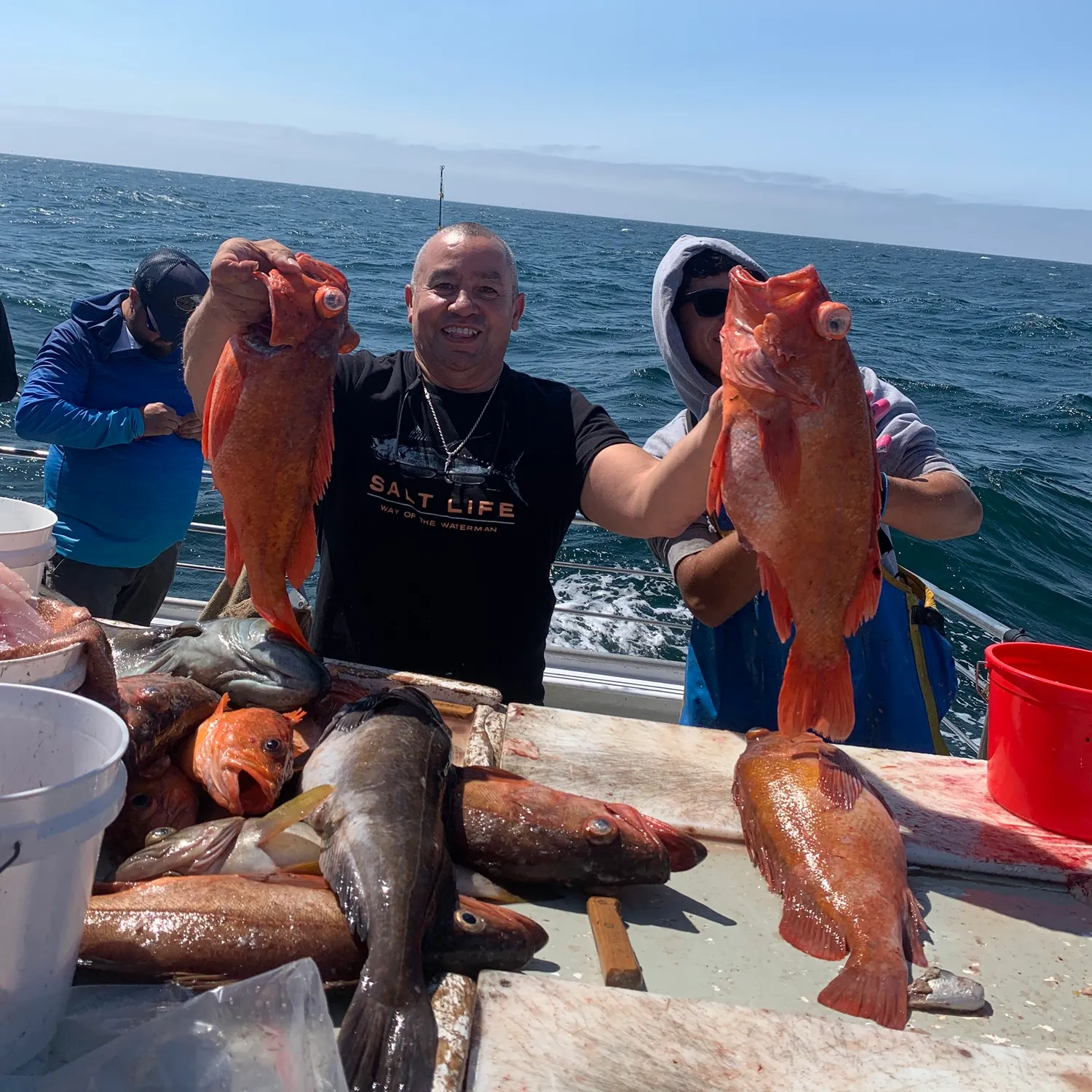 Vermilion rockfish caught on Fishbrain