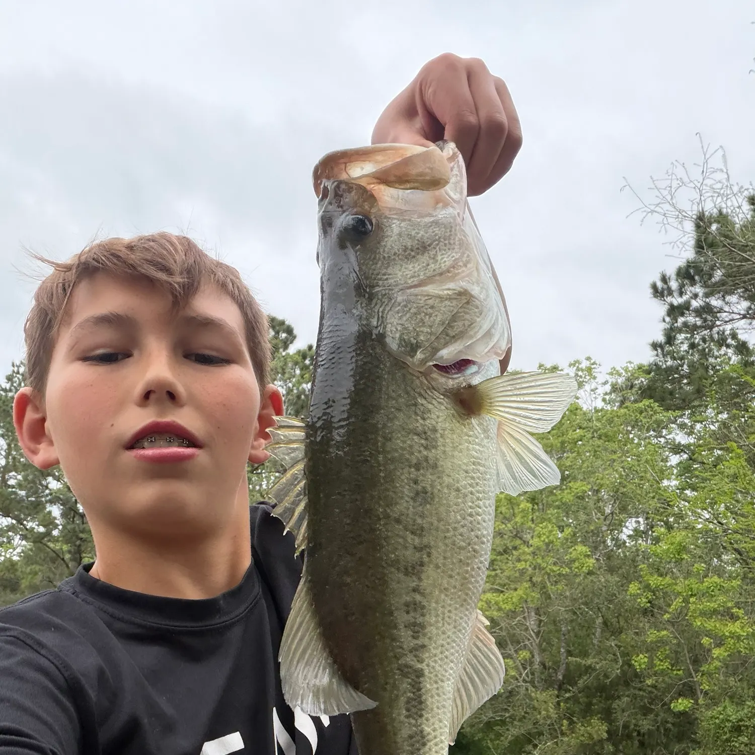 Largemouth bass caught on Fishbrain