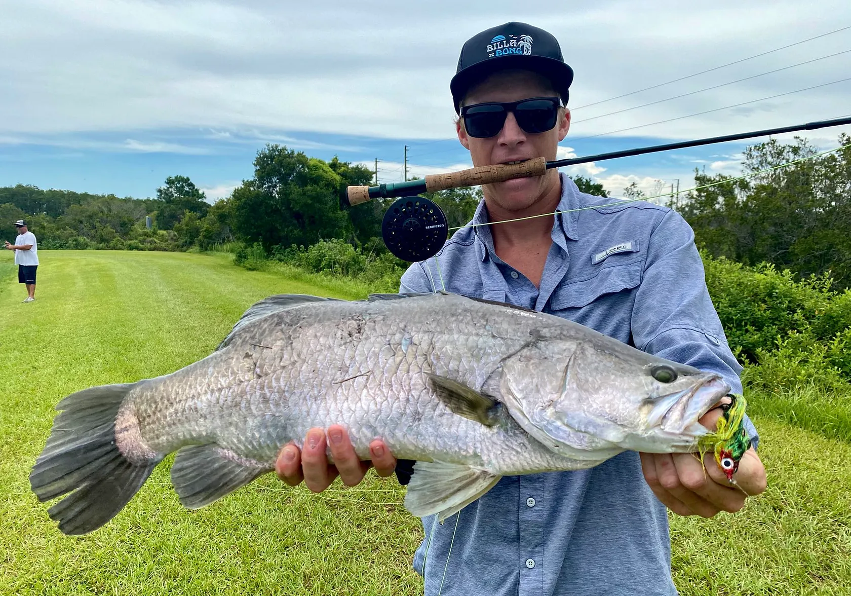 Barramundi