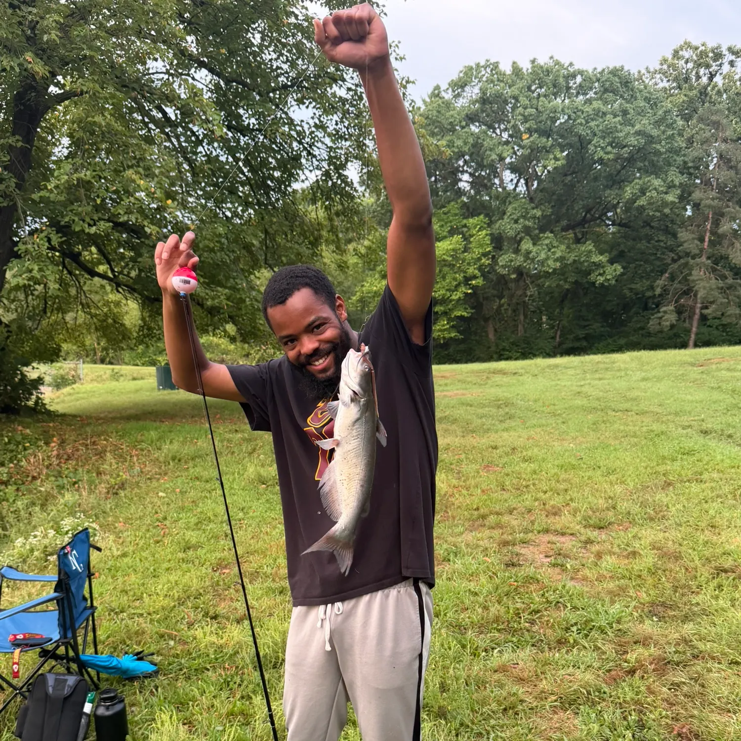 Channel catfish caught on Fishbrain